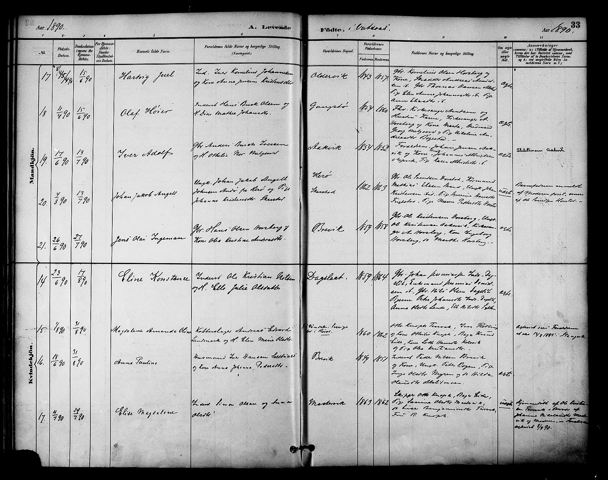 Ministerialprotokoller, klokkerbøker og fødselsregistre - Nordland, AV/SAT-A-1459/810/L0150: Parish register (official) no. 810A10 /1, 1884-1895, p. 33