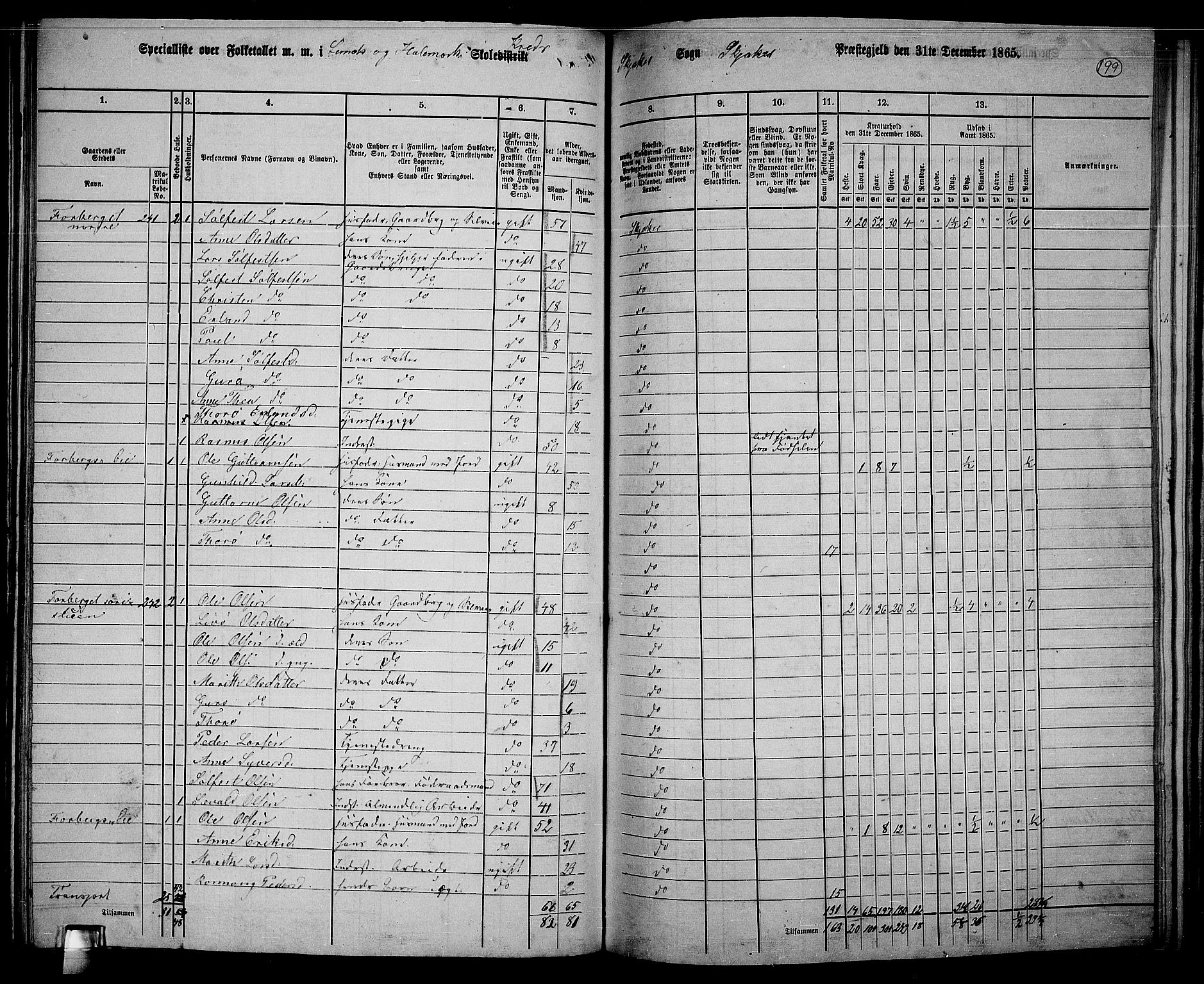 RA, 1865 census for Skjåk, 1865, p. 51