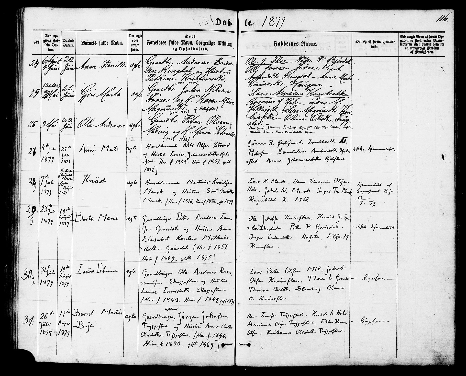 Ministerialprotokoller, klokkerbøker og fødselsregistre - Møre og Romsdal, AV/SAT-A-1454/517/L0226: Parish register (official) no. 517A06, 1862-1881, p. 116