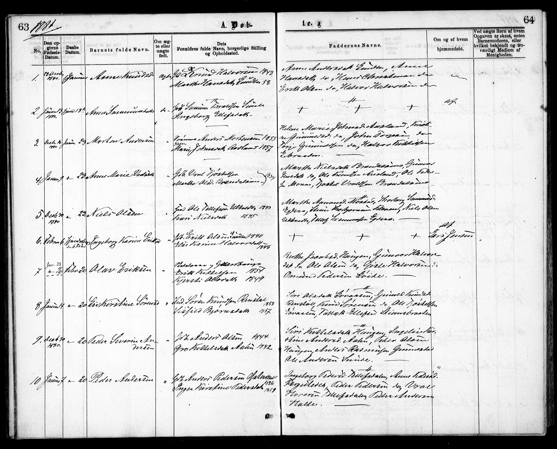 Gjerstad sokneprestkontor, AV/SAK-1111-0014/F/Fa/Faa/L0008: Parish register (official) no. A 8, 1876-1884, p. 63-64