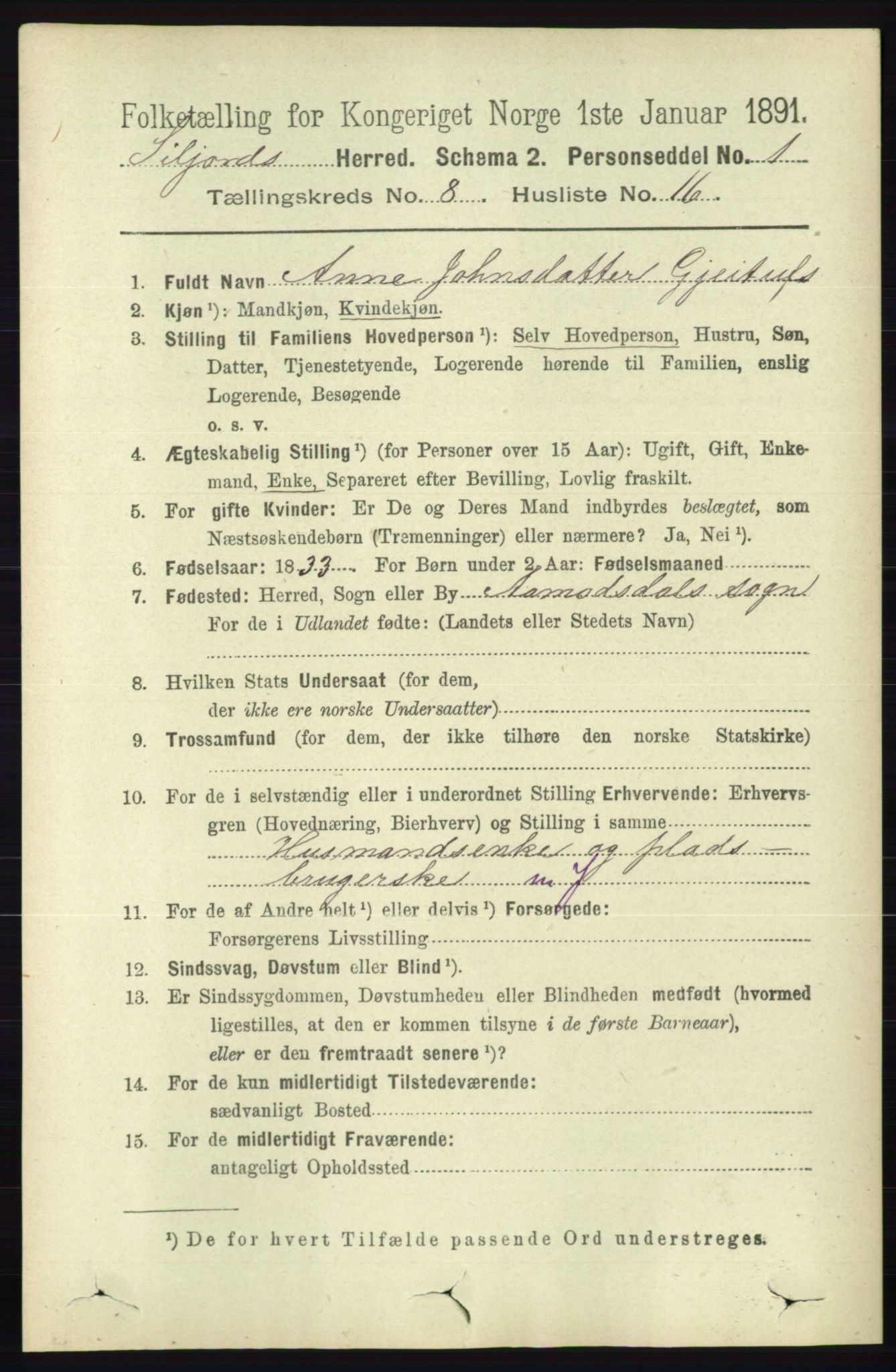 RA, 1891 census for 0828 Seljord, 1891, p. 2968