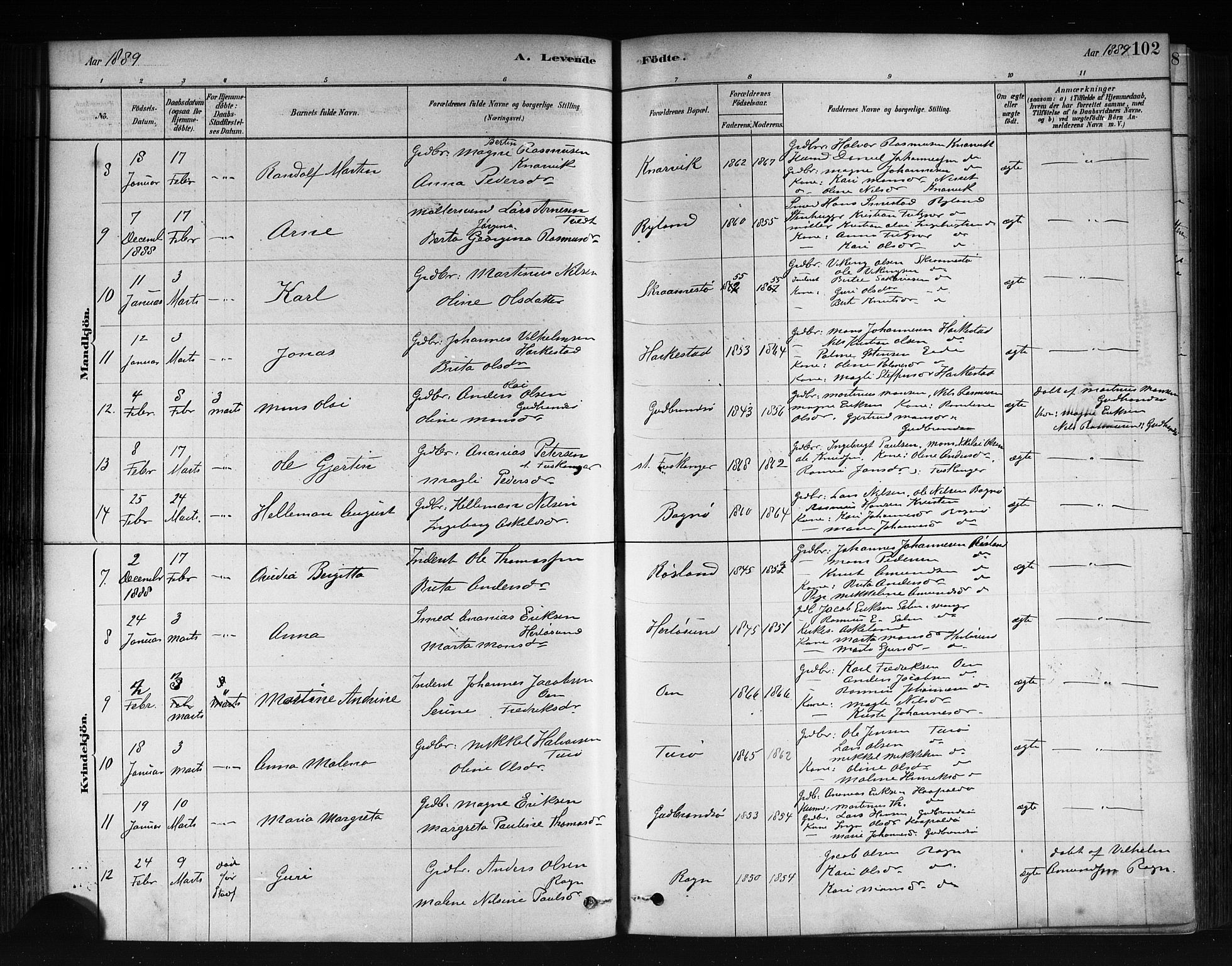 Herdla Sokneprestembete, AV/SAB-A-75701/H/Haa: Parish register (official) no. A 3, 1878-1890, p. 102