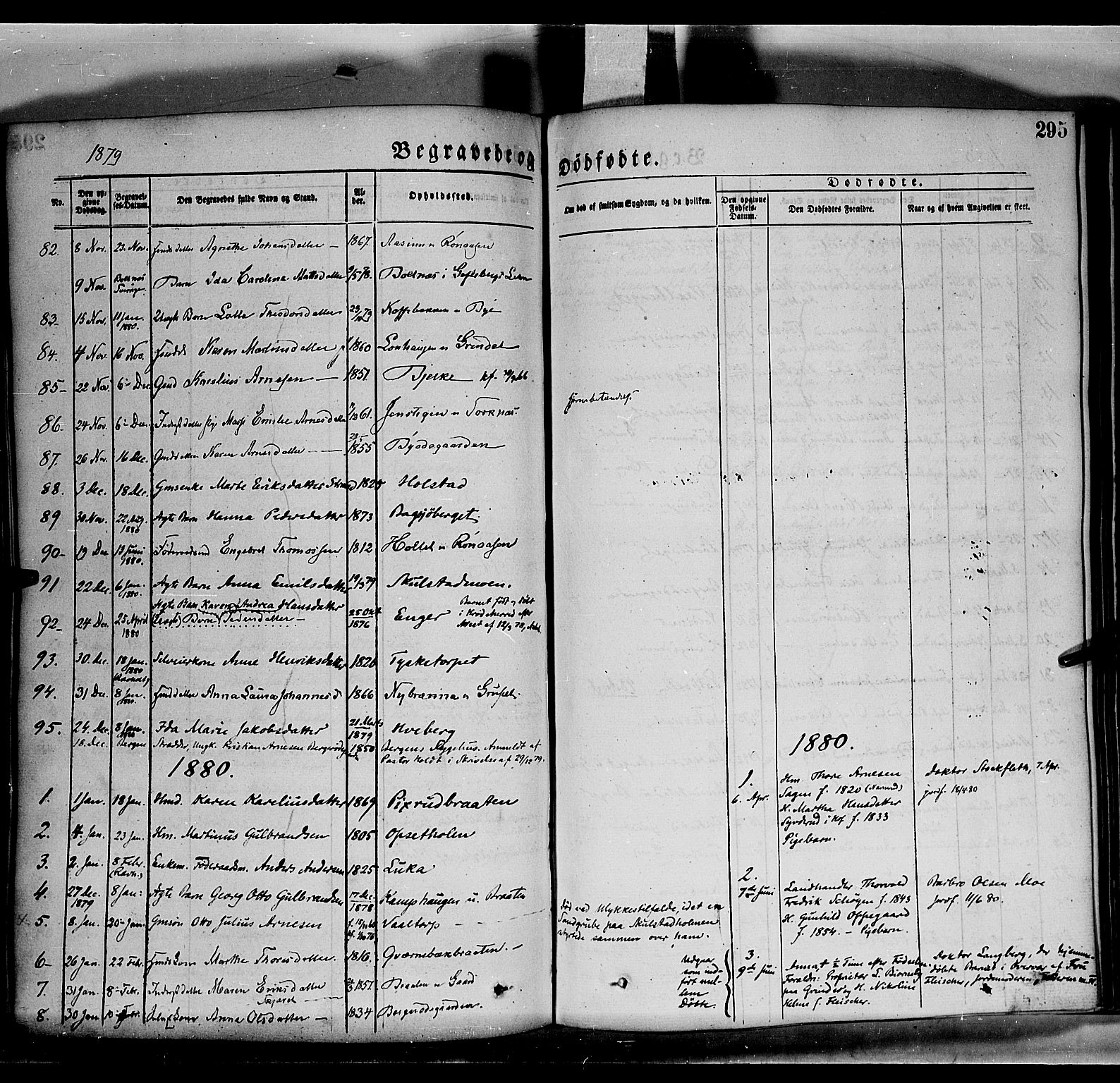 Grue prestekontor, SAH/PREST-036/H/Ha/Haa/L0011: Parish register (official) no. 11, 1873-1880, p. 295