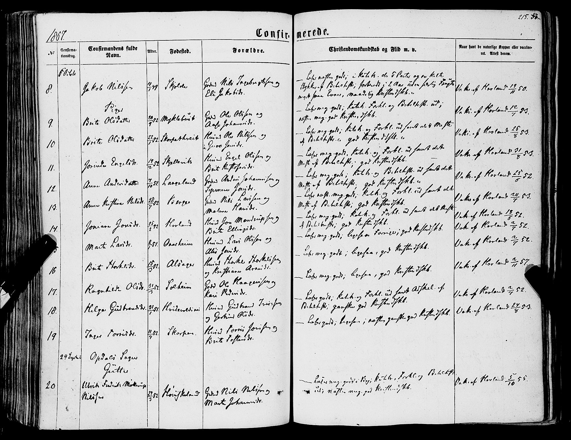Tysnes sokneprestembete, SAB/A-78601/H/Haa: Parish register (official) no. A 11, 1860-1871, p. 215