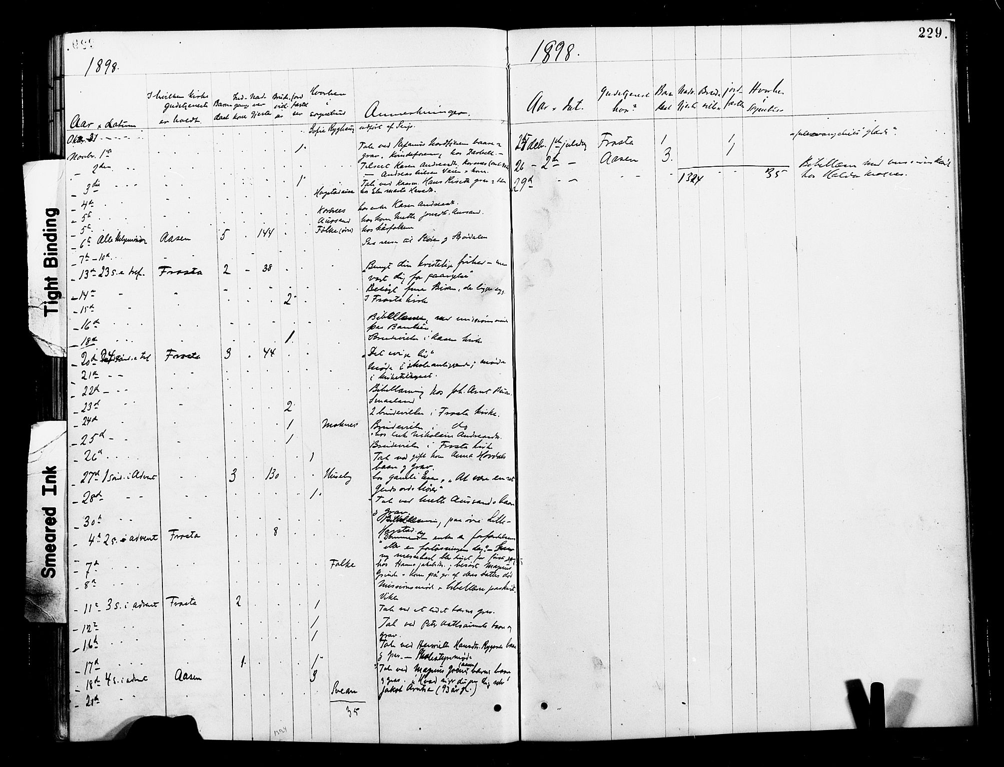 Ministerialprotokoller, klokkerbøker og fødselsregistre - Nord-Trøndelag, SAT/A-1458/713/L0121: Parish register (official) no. 713A10, 1888-1898, p. 229