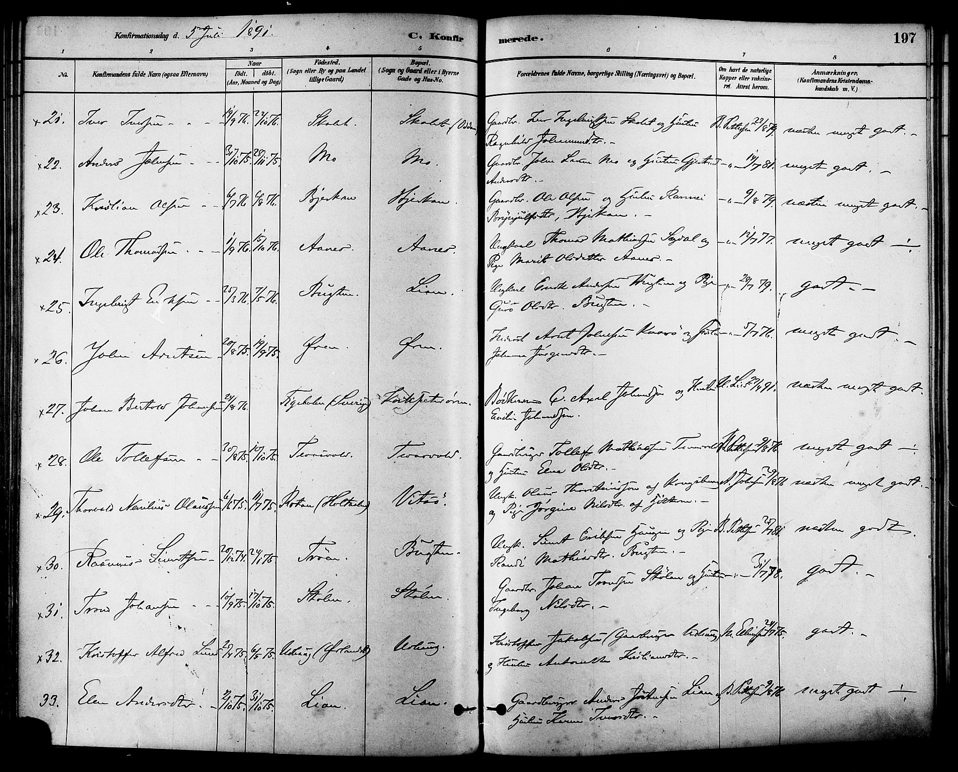 Ministerialprotokoller, klokkerbøker og fødselsregistre - Sør-Trøndelag, AV/SAT-A-1456/630/L0496: Parish register (official) no. 630A09, 1879-1895, p. 197