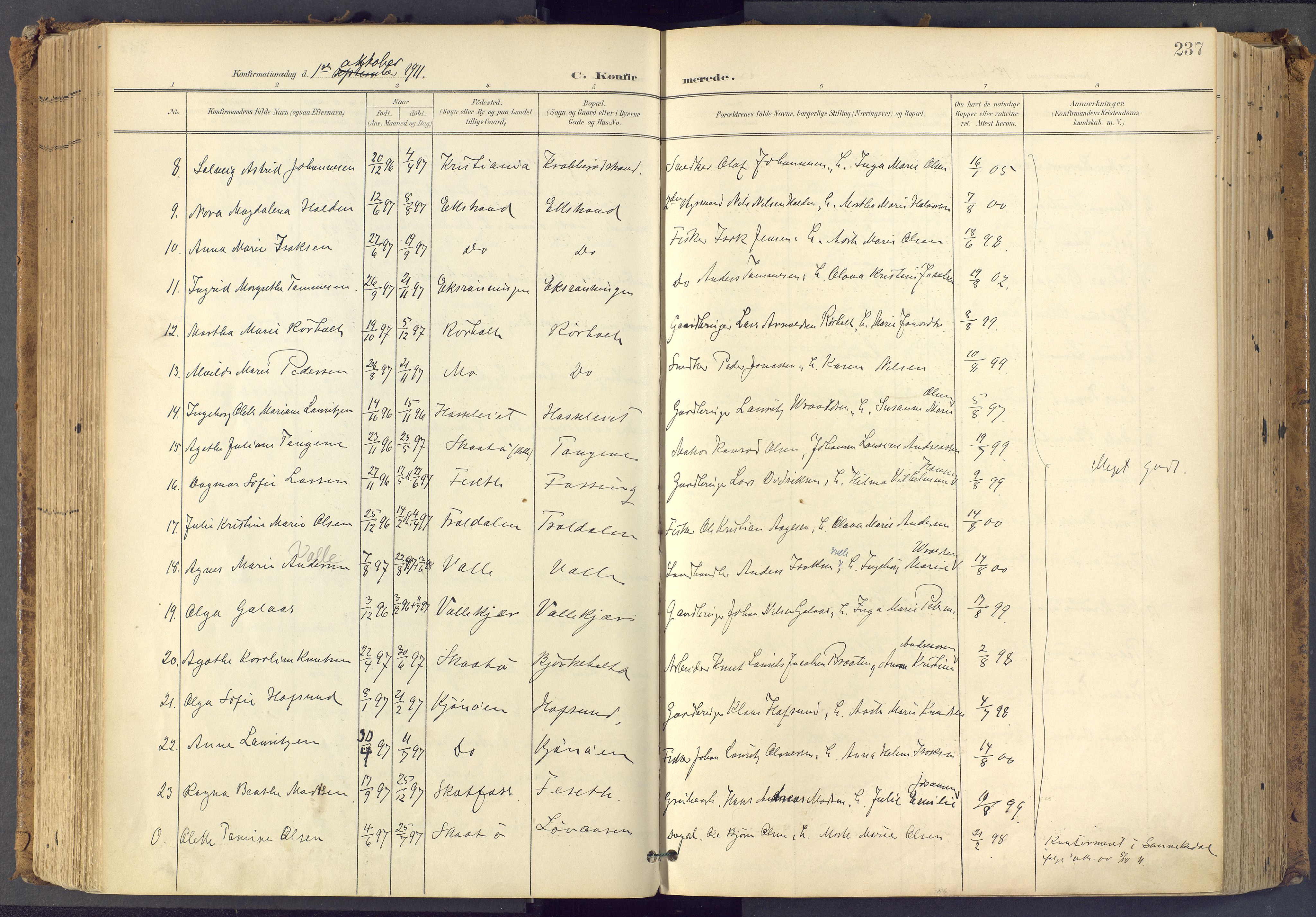 Bamble kirkebøker, SAKO/A-253/F/Fa/L0009: Parish register (official) no. I 9, 1901-1917, p. 237