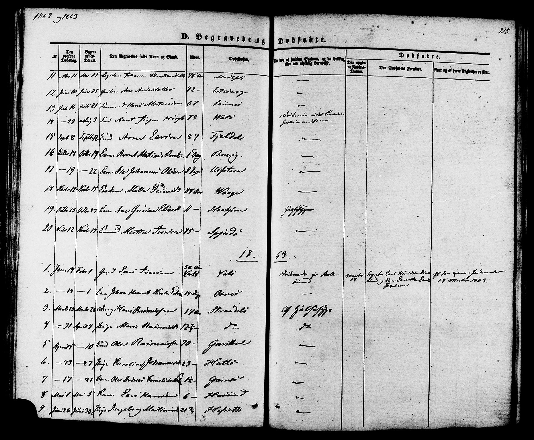 Ministerialprotokoller, klokkerbøker og fødselsregistre - Møre og Romsdal, SAT/A-1454/509/L0105: Parish register (official) no. 509A03, 1848-1882, p. 215