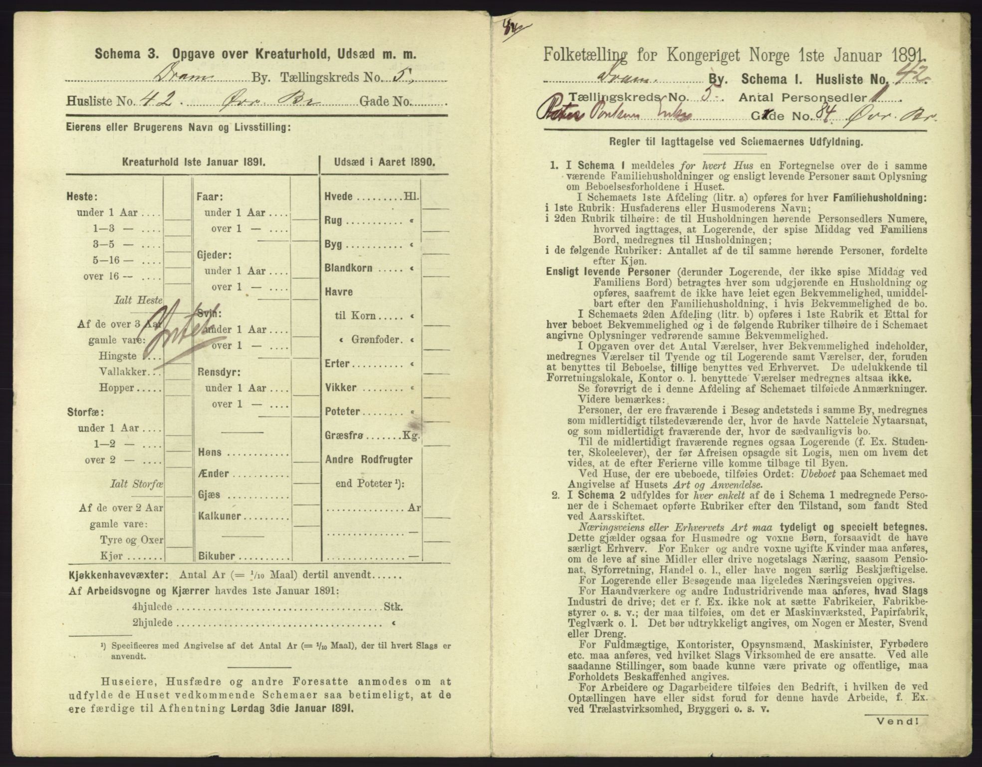 RA, 1891 census for 0602 Drammen, 1891, p. 517