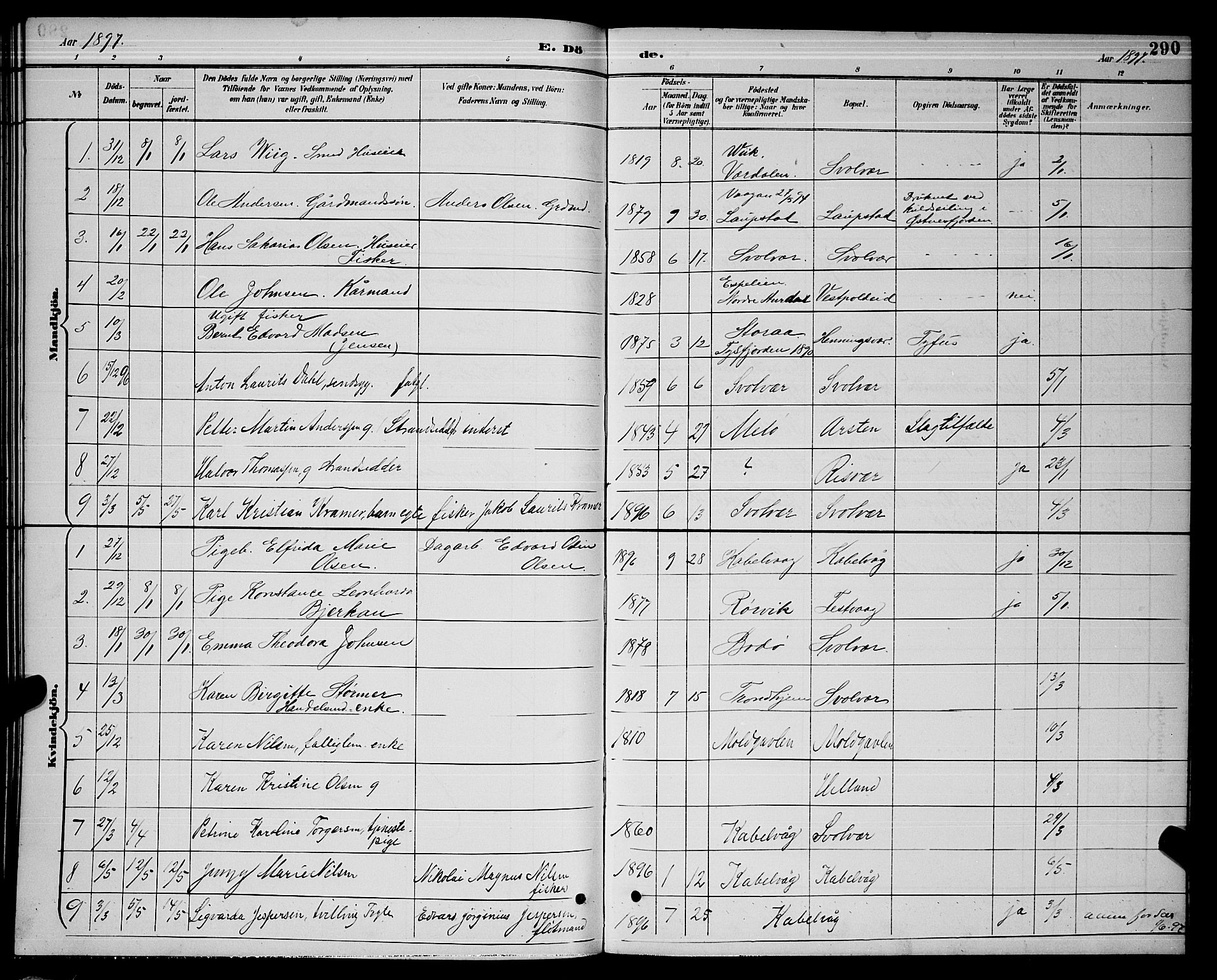 Ministerialprotokoller, klokkerbøker og fødselsregistre - Nordland, AV/SAT-A-1459/874/L1077: Parish register (copy) no. 874C06, 1891-1900, p. 290