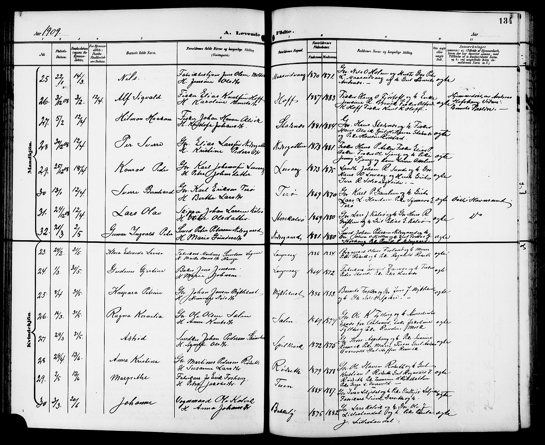 Ministerialprotokoller, klokkerbøker og fødselsregistre - Møre og Romsdal, SAT/A-1454/528/L0432: Parish register (copy) no. 528C13, 1898-1918, p. 134