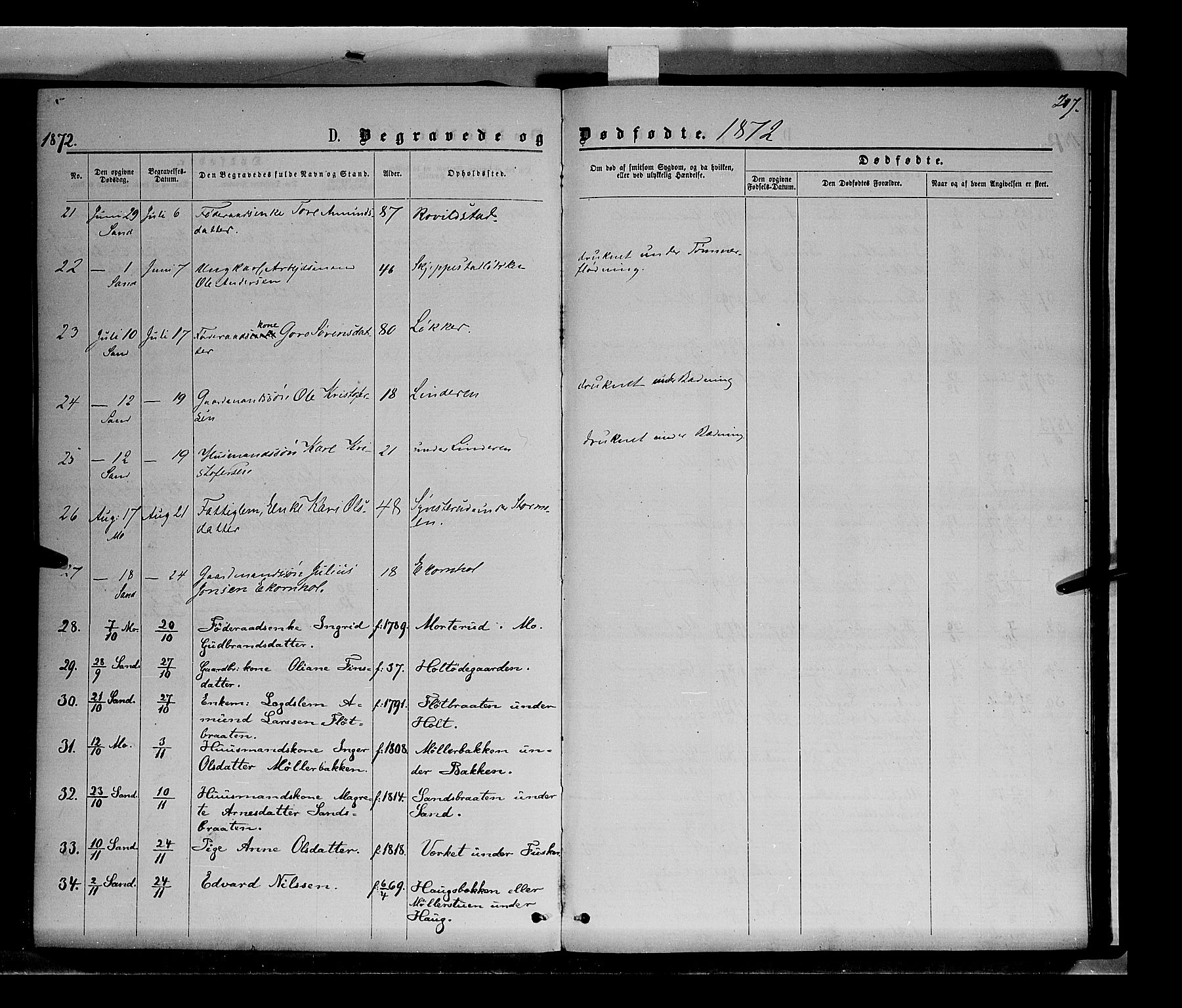 Nord-Odal prestekontor, AV/SAH-PREST-032/H/Ha/Haa/L0004: Parish register (official) no. 4, 1866-1873, p. 207