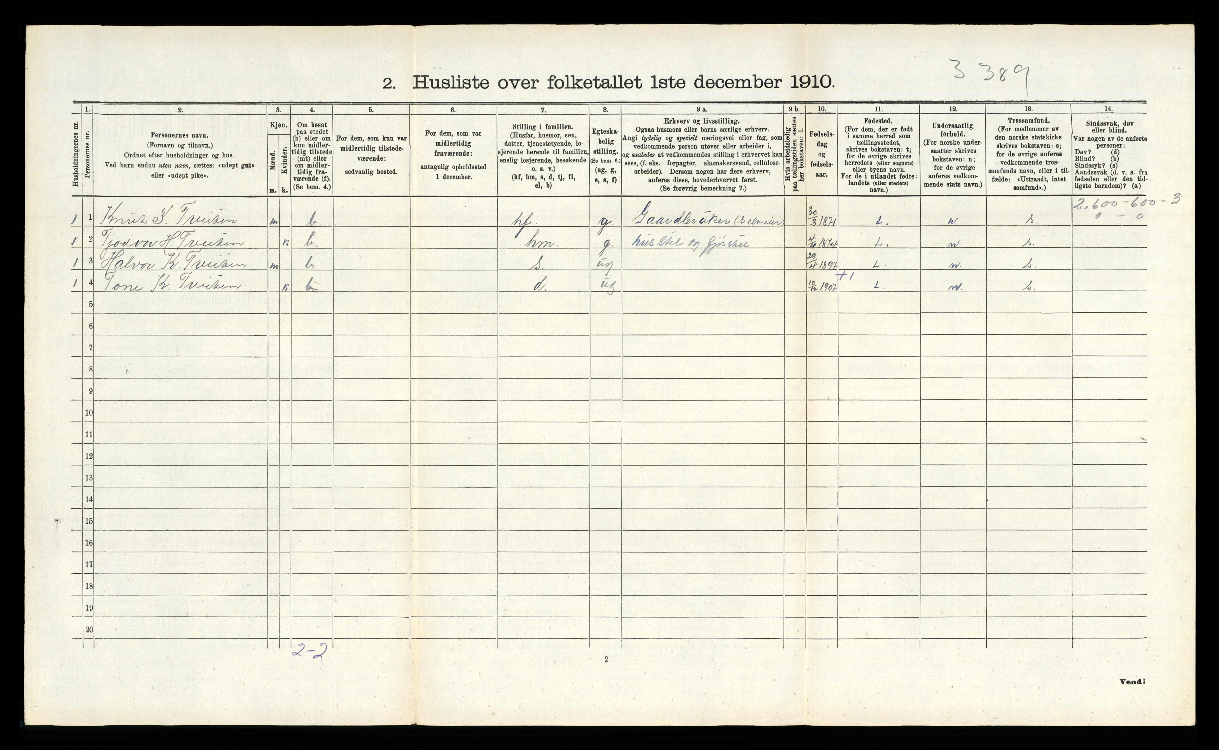 RA, 1910 census for Vinje, 1910, p. 521