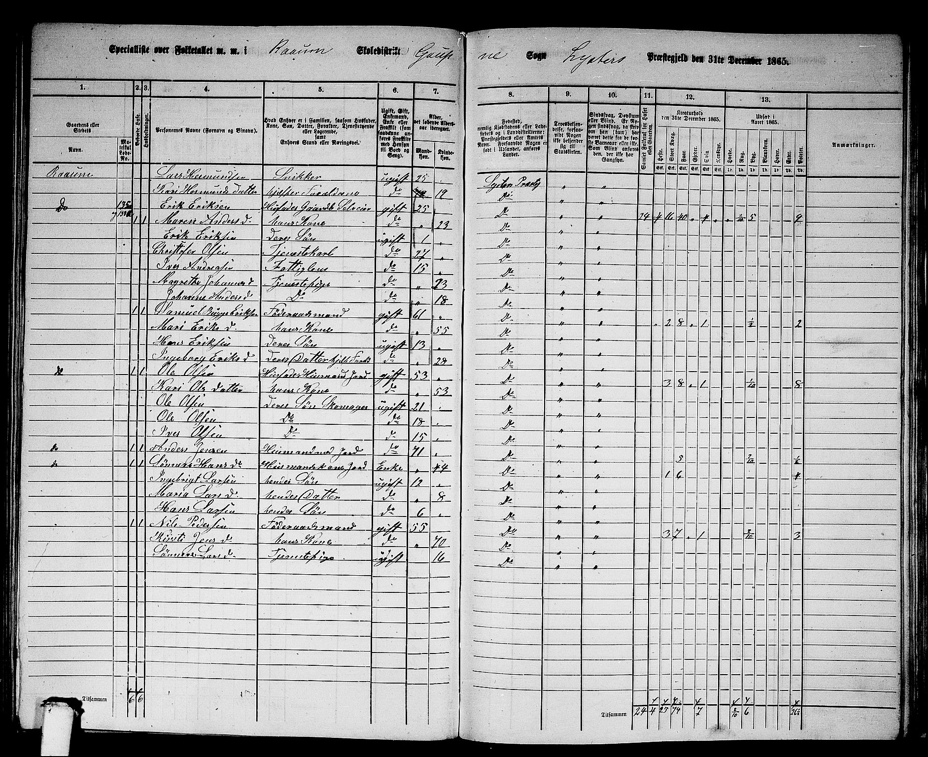 RA, 1865 census for Luster, 1865, p. 138