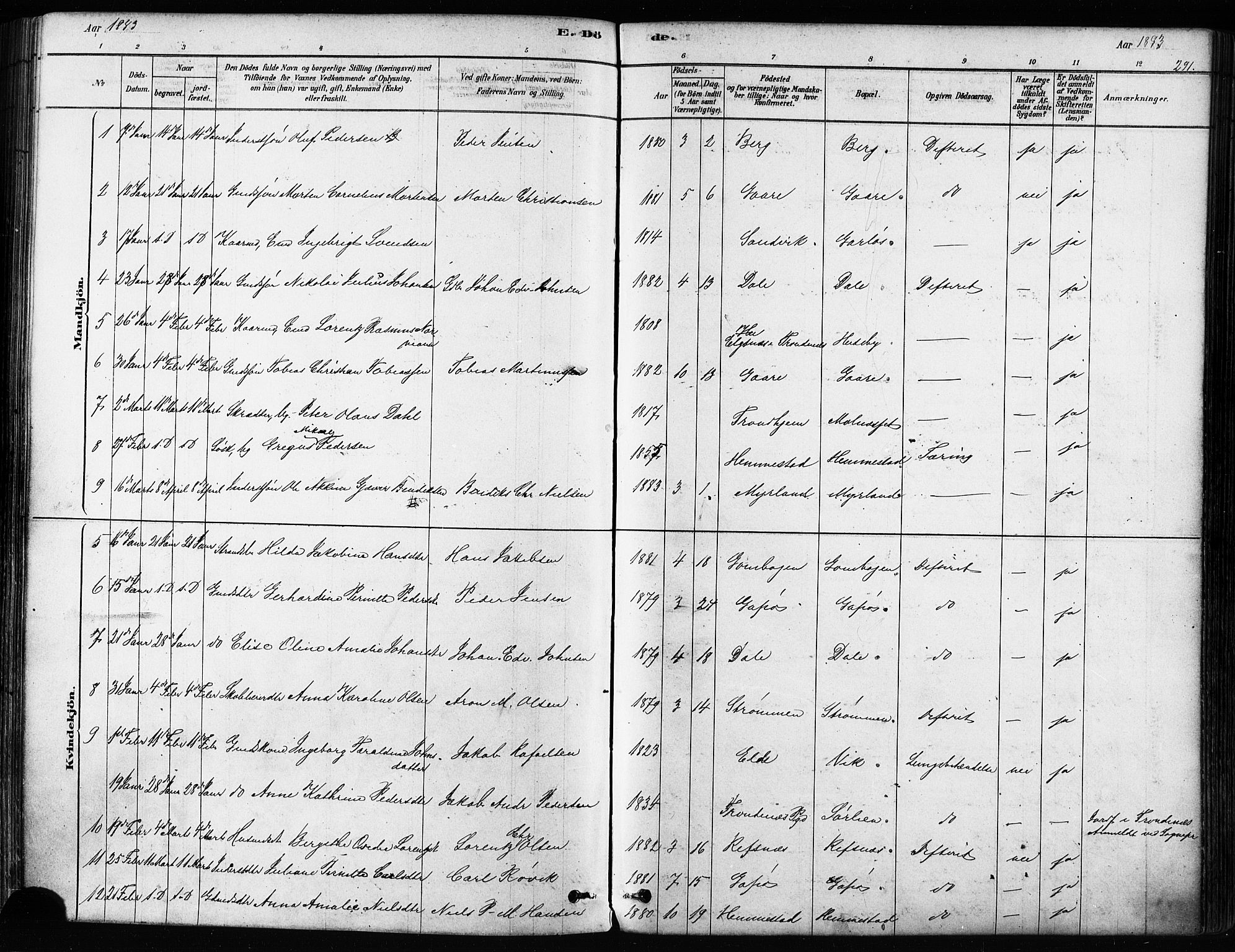 Kvæfjord sokneprestkontor, SATØ/S-1323/G/Ga/Gaa/L0005kirke: Parish register (official) no. 5, 1878-1894, p. 291