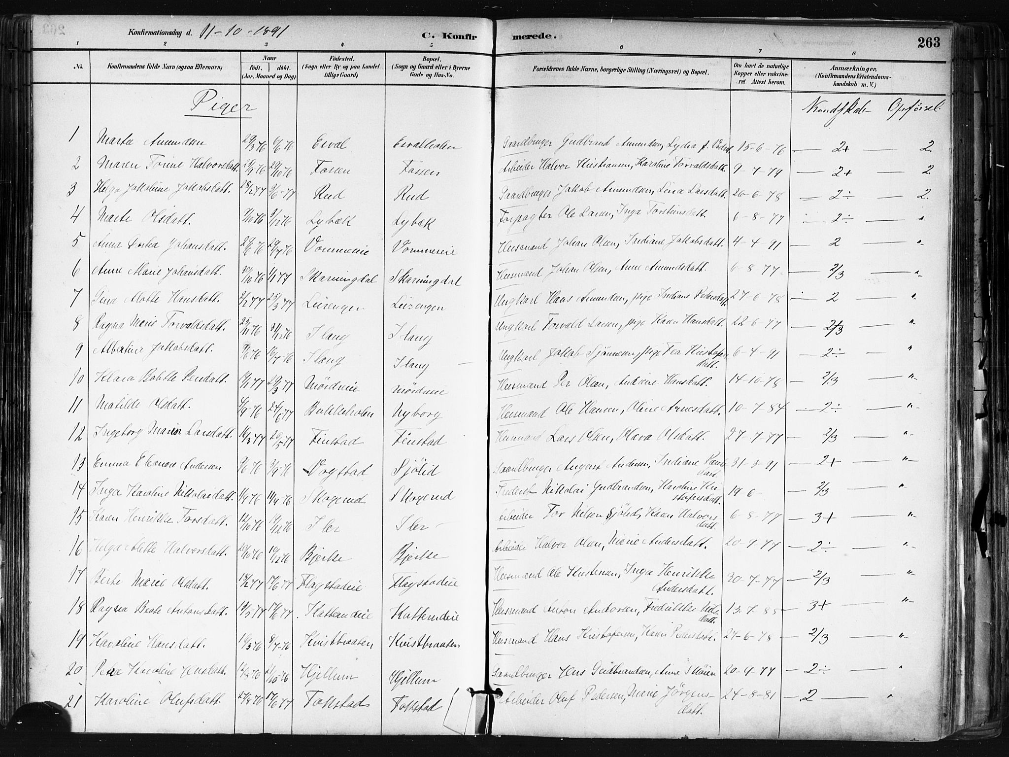 Nes prestekontor Kirkebøker, AV/SAO-A-10410/F/Fa/L0010: Parish register (official) no. I 10, 1883-1898, p. 263