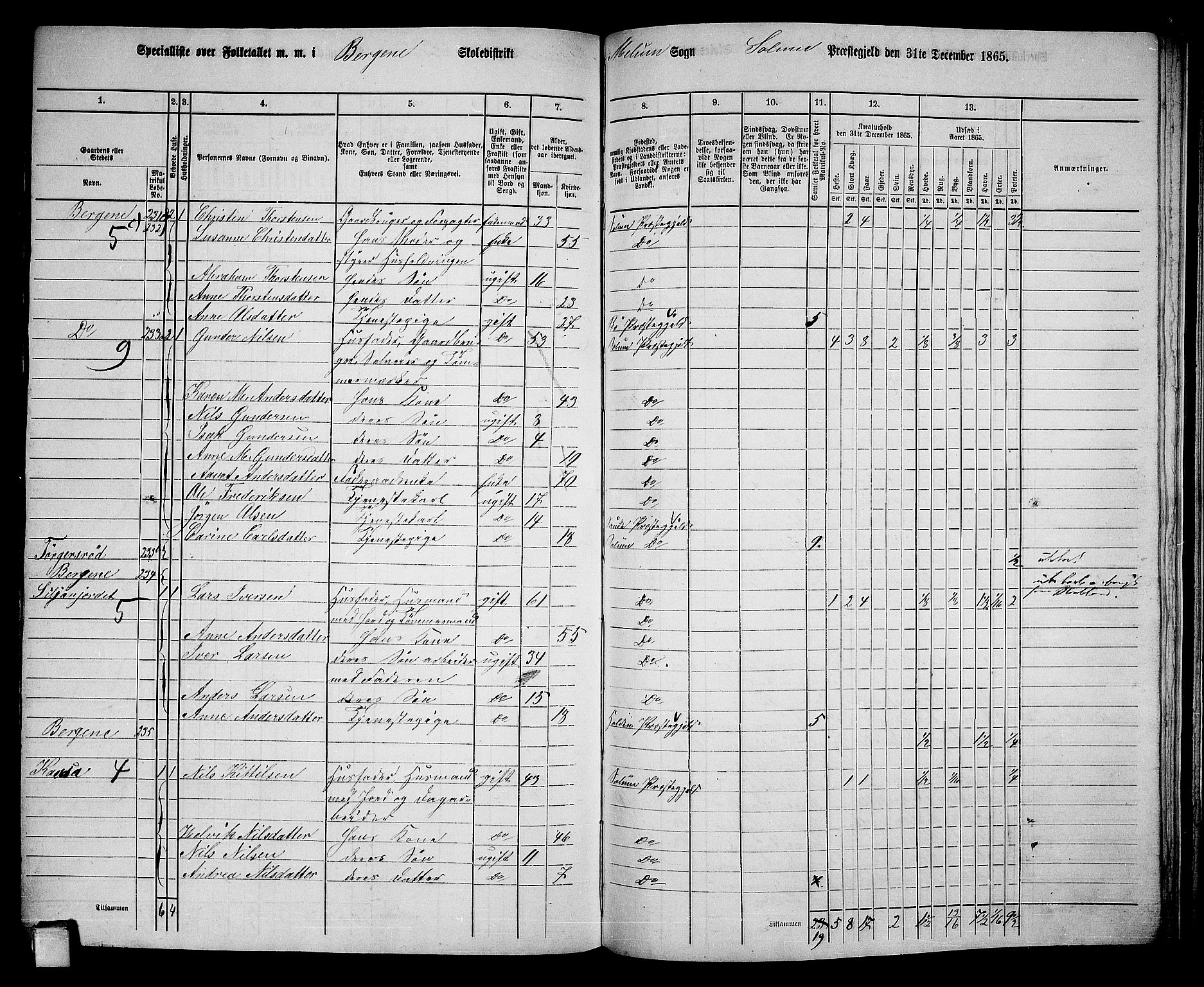 RA, 1865 census for Solum, 1865, p. 186