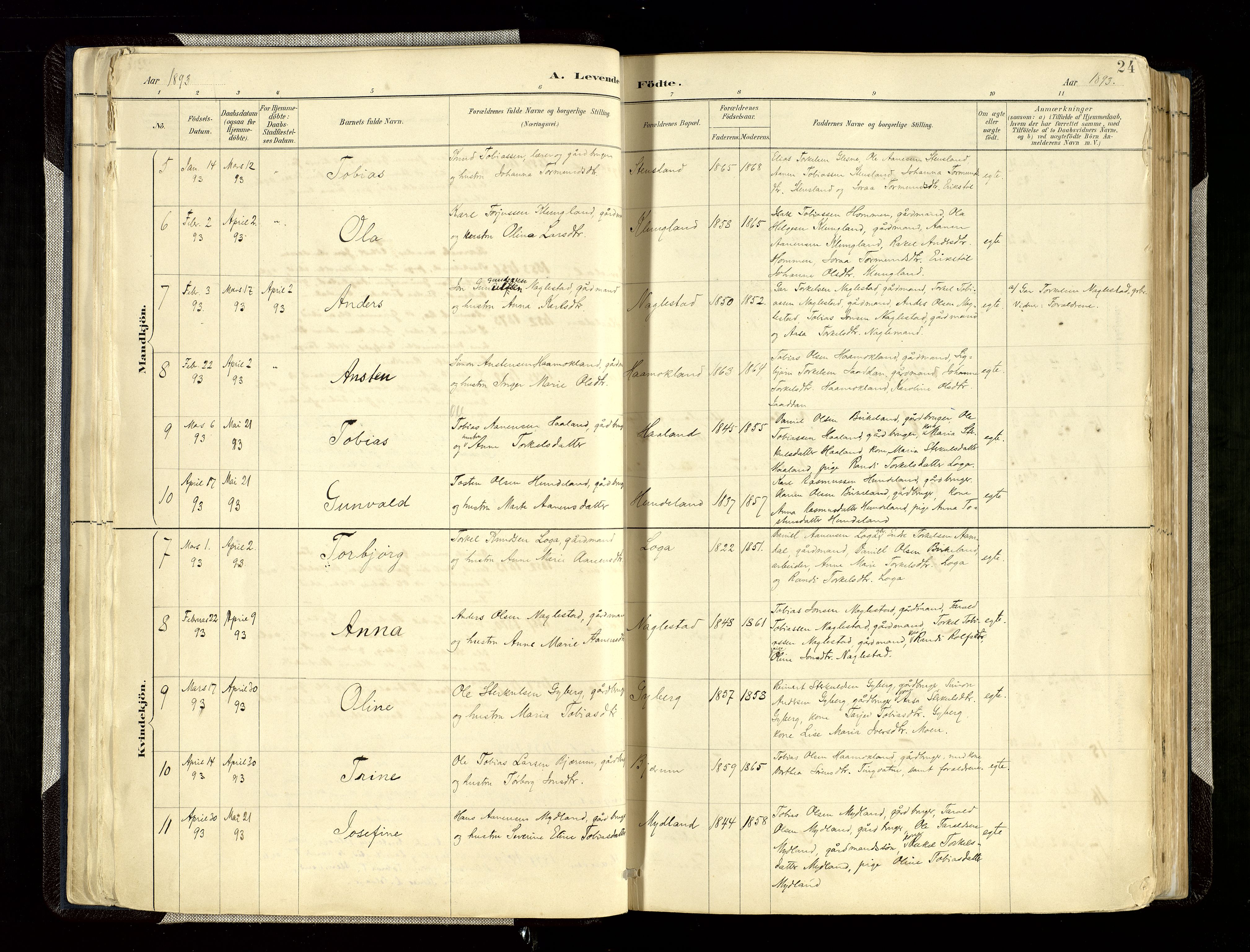 Hægebostad sokneprestkontor, AV/SAK-1111-0024/F/Fa/Faa/L0006: Parish register (official) no. A 6, 1887-1929, p. 24