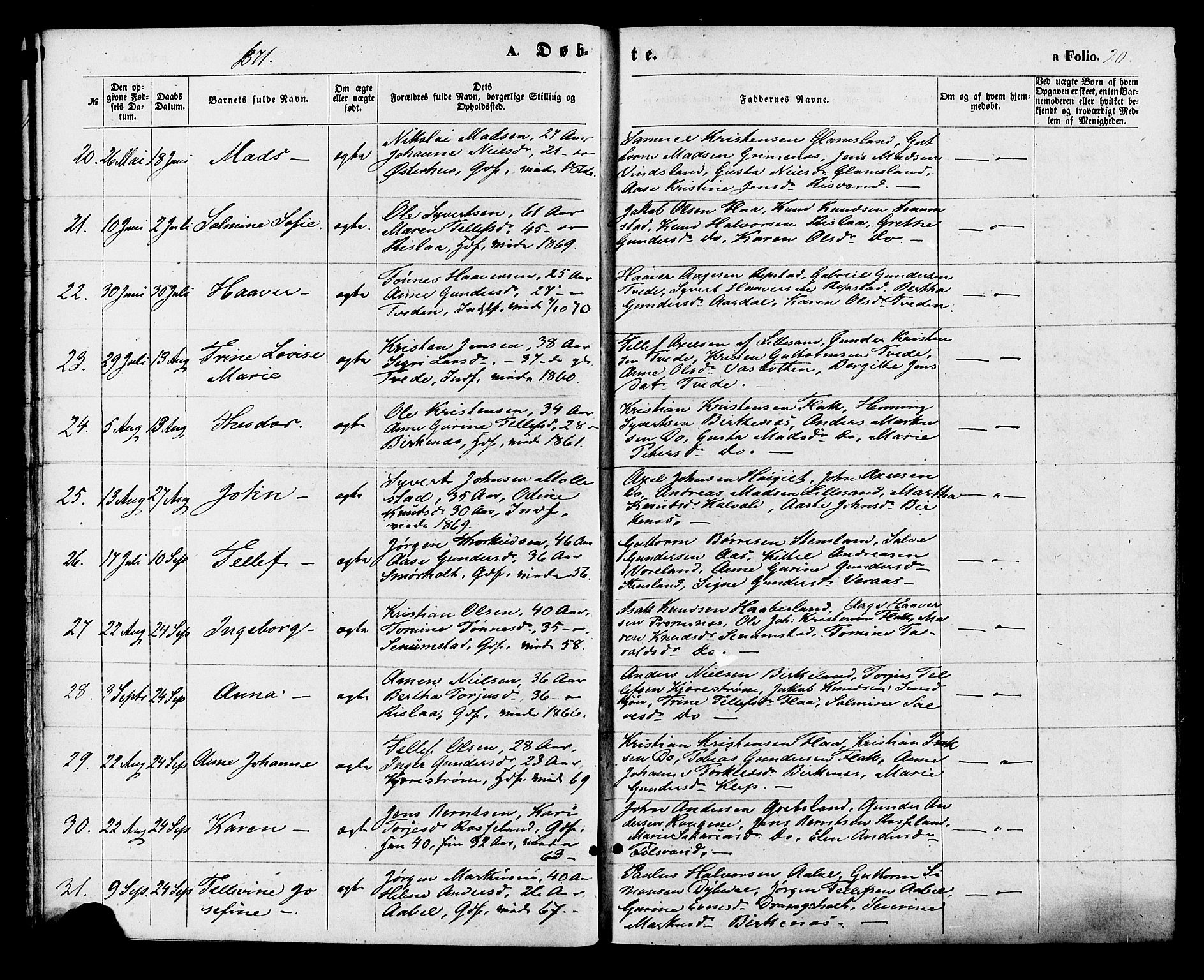 Birkenes sokneprestkontor, AV/SAK-1111-0004/F/Fa/L0004: Parish register (official) no. A 4, 1867-1886, p. 20