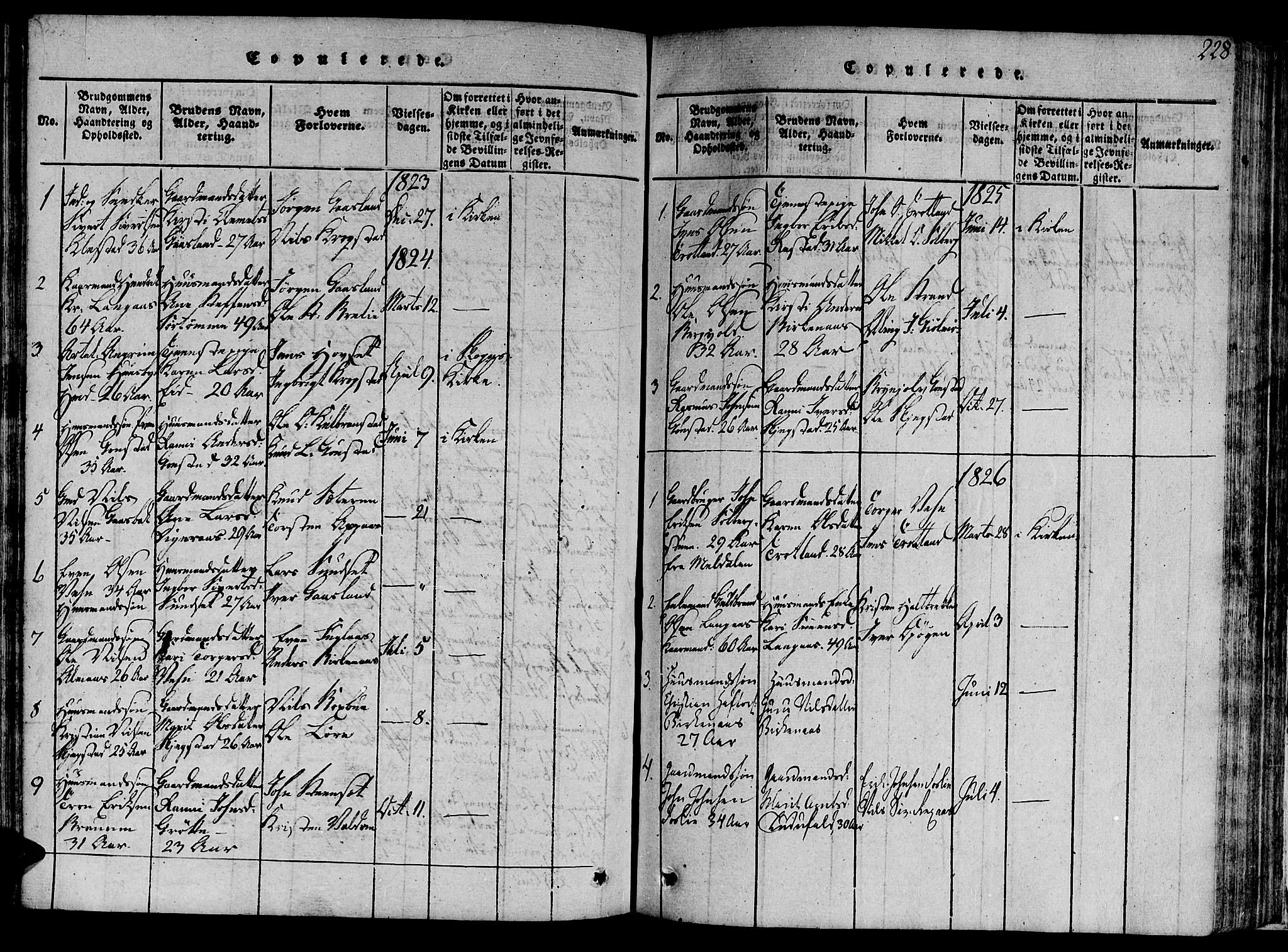 Ministerialprotokoller, klokkerbøker og fødselsregistre - Sør-Trøndelag, SAT/A-1456/691/L1068: Parish register (official) no. 691A03 /4, 1816-1826, p. 228