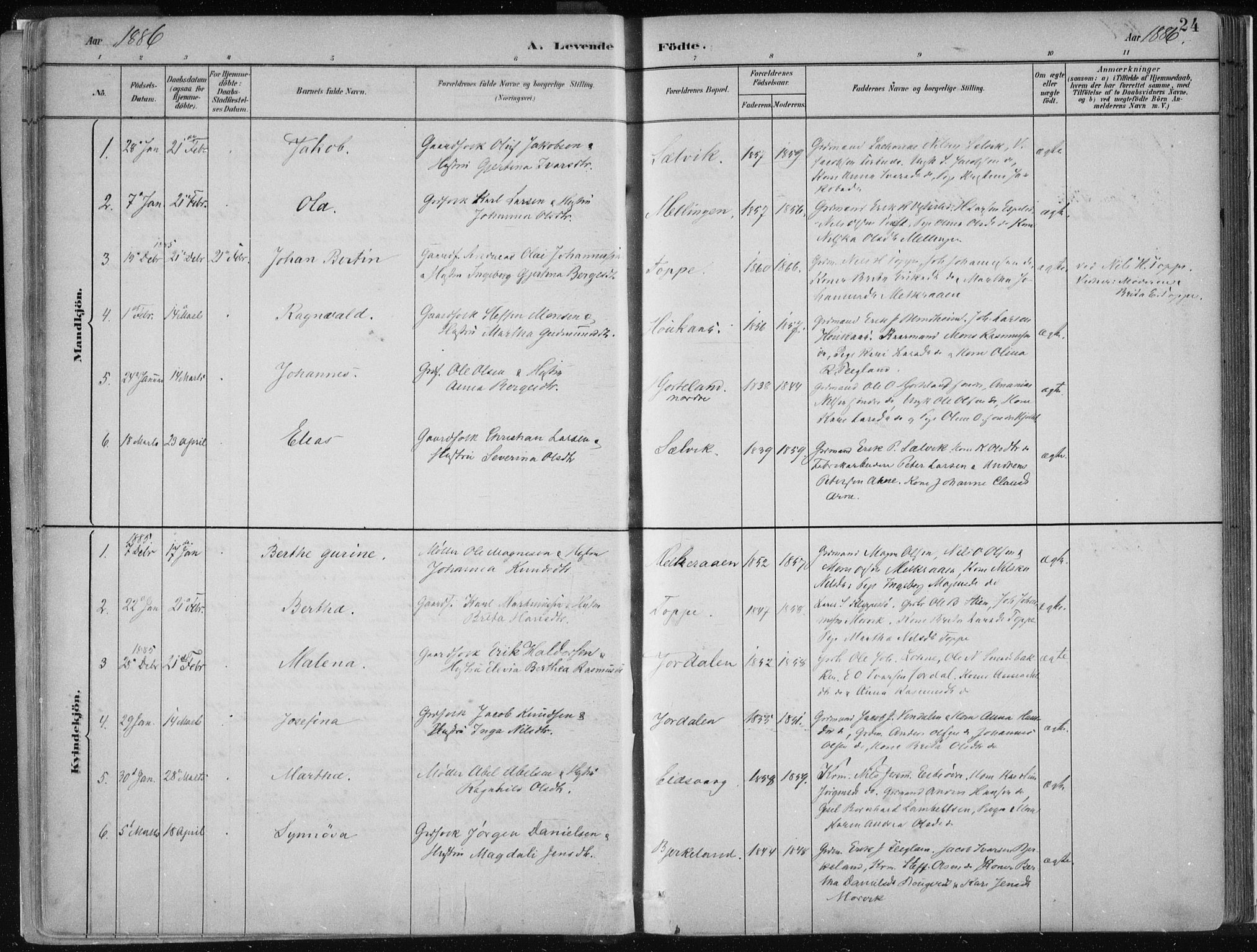 Hamre sokneprestembete, AV/SAB-A-75501/H/Ha/Haa/Haad/L0001: Parish register (official) no. D  1, 1882-1906, p. 24