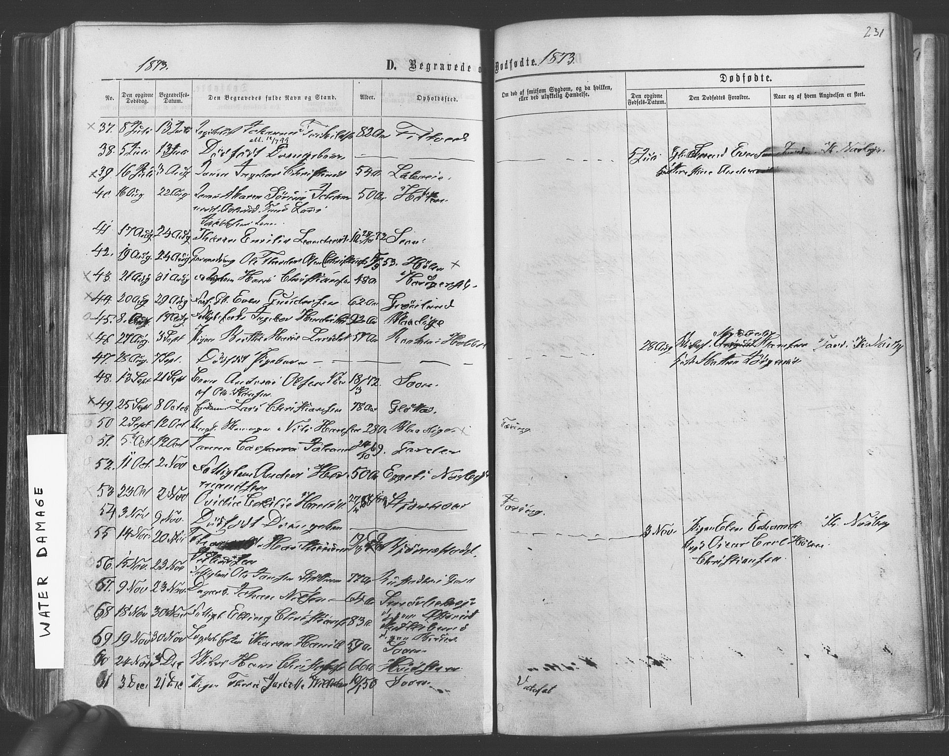 Vestby prestekontor Kirkebøker, SAO/A-10893/F/Fa/L0008: Parish register (official) no. I 8, 1863-1877, p. 231