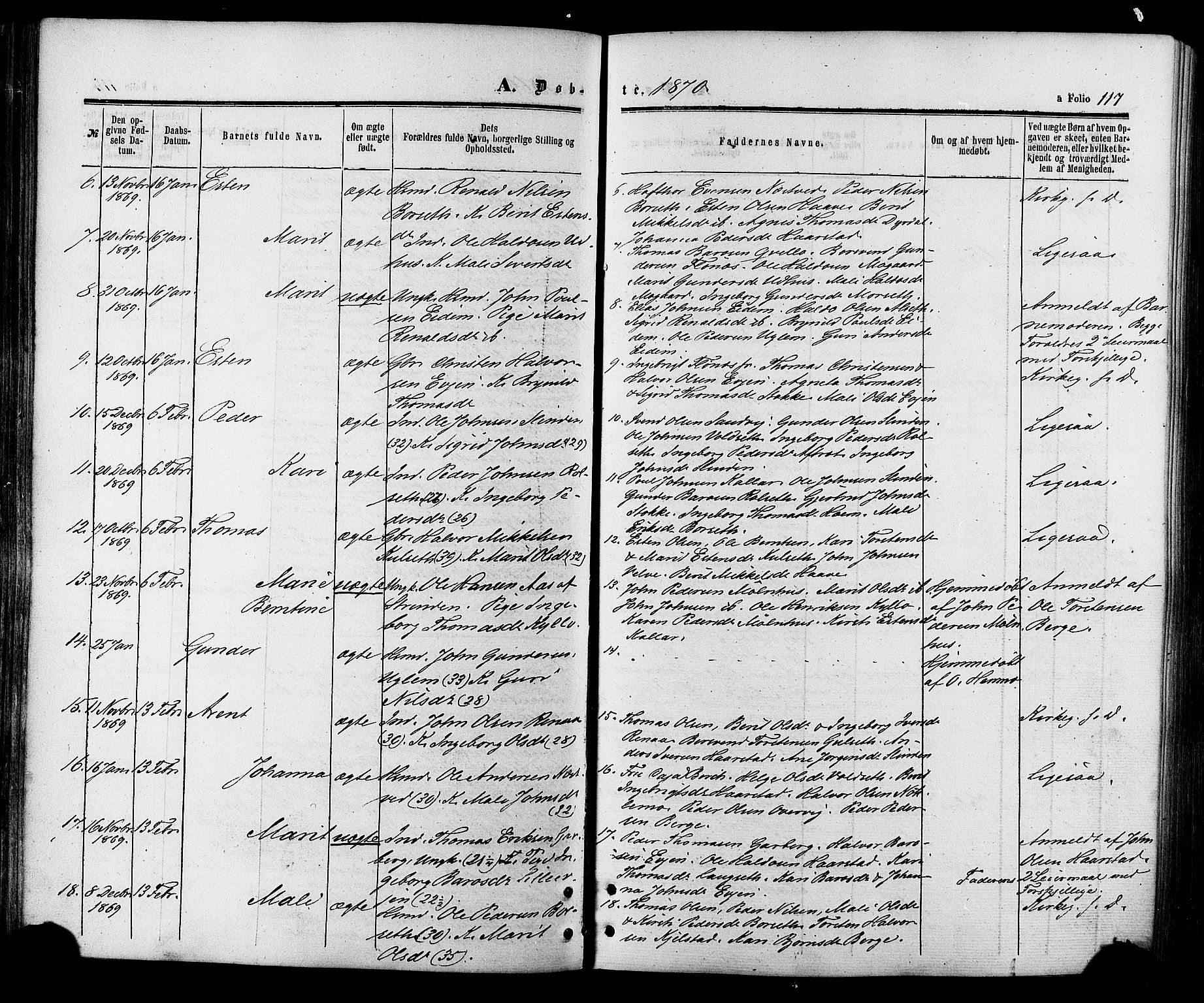 Ministerialprotokoller, klokkerbøker og fødselsregistre - Sør-Trøndelag, SAT/A-1456/695/L1147: Parish register (official) no. 695A07, 1860-1877, p. 117