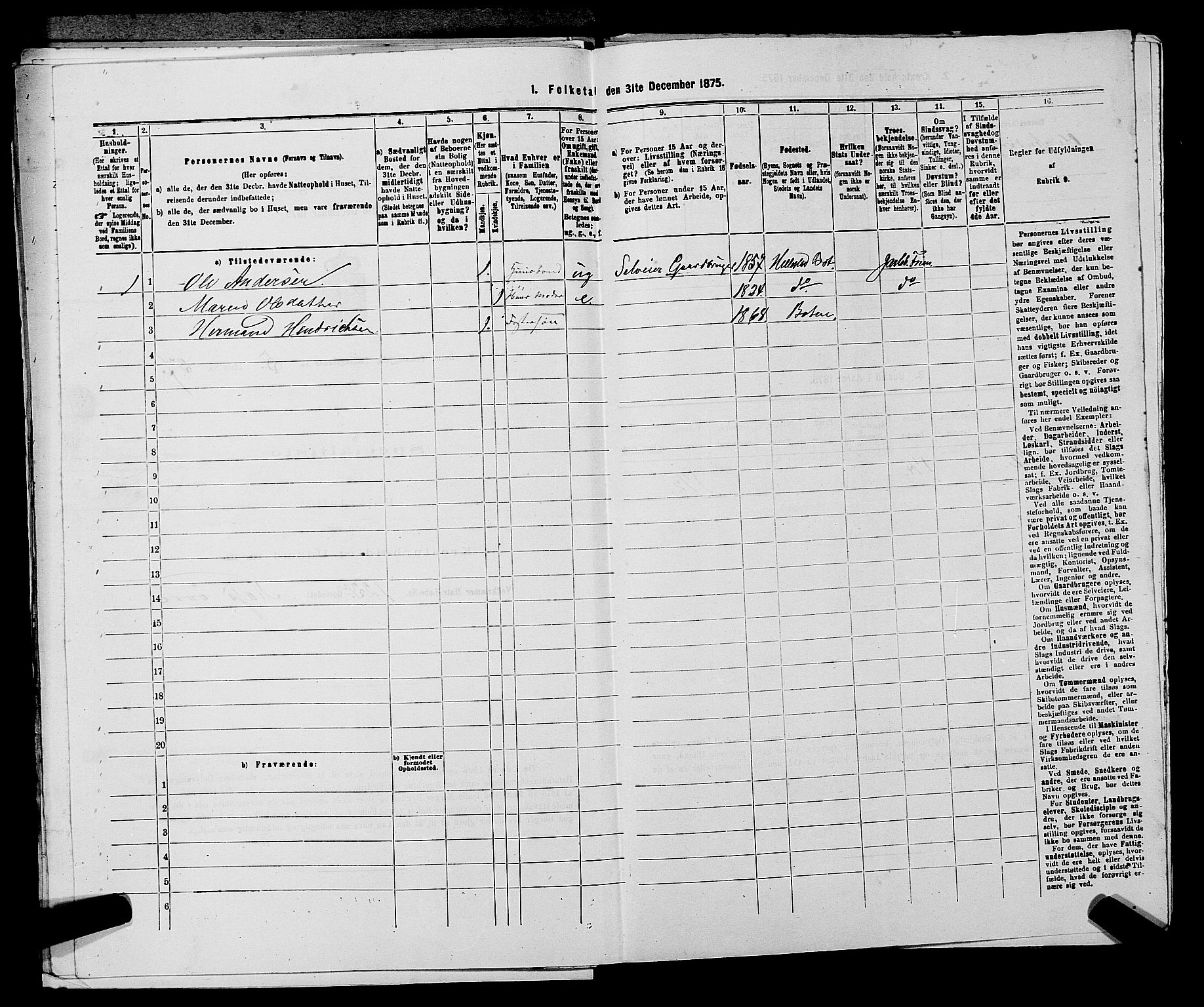 SAKO, 1875 census for 0715P Botne, 1875, p. 461