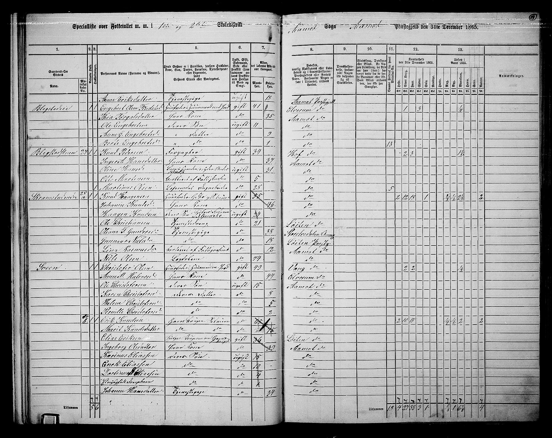 RA, 1865 census for Åmot, 1865, p. 17