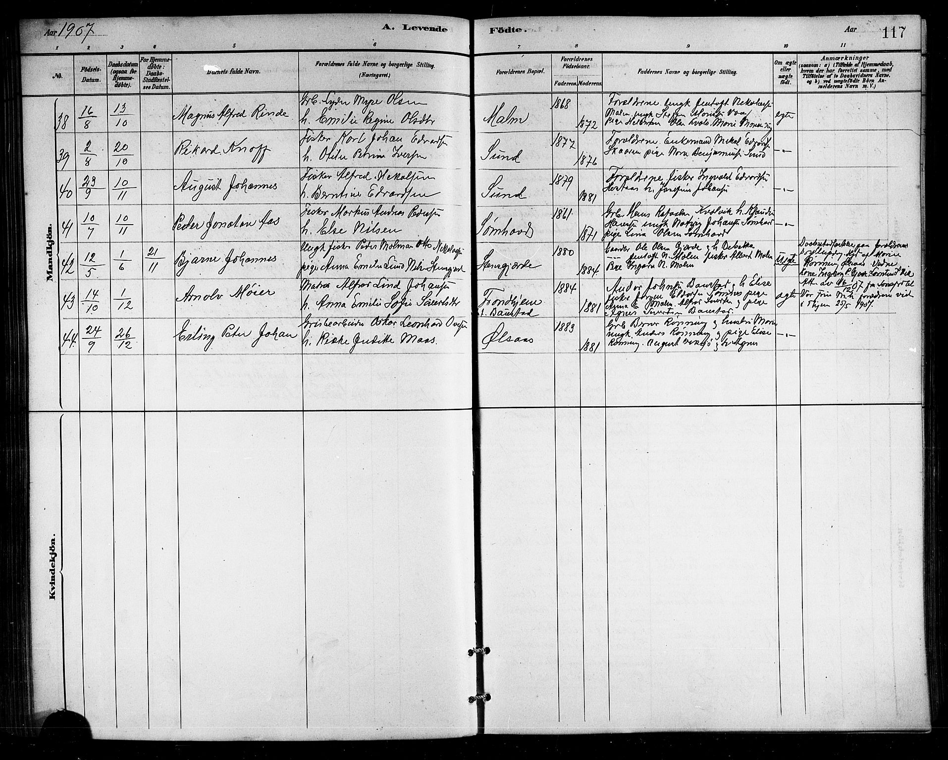 Ministerialprotokoller, klokkerbøker og fødselsregistre - Nordland, SAT/A-1459/812/L0188: Parish register (copy) no. 812C06, 1884-1912, p. 117