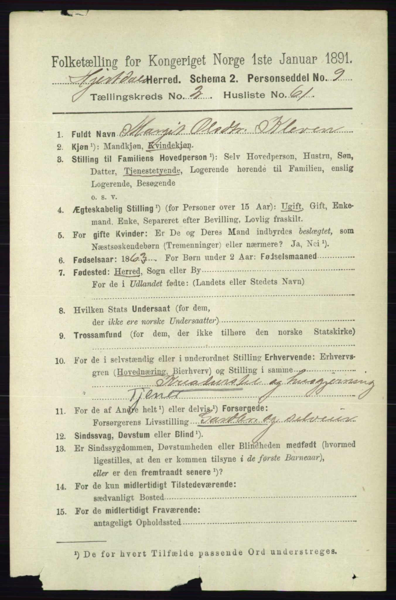 RA, 1891 census for 0827 Hjartdal, 1891, p. 982