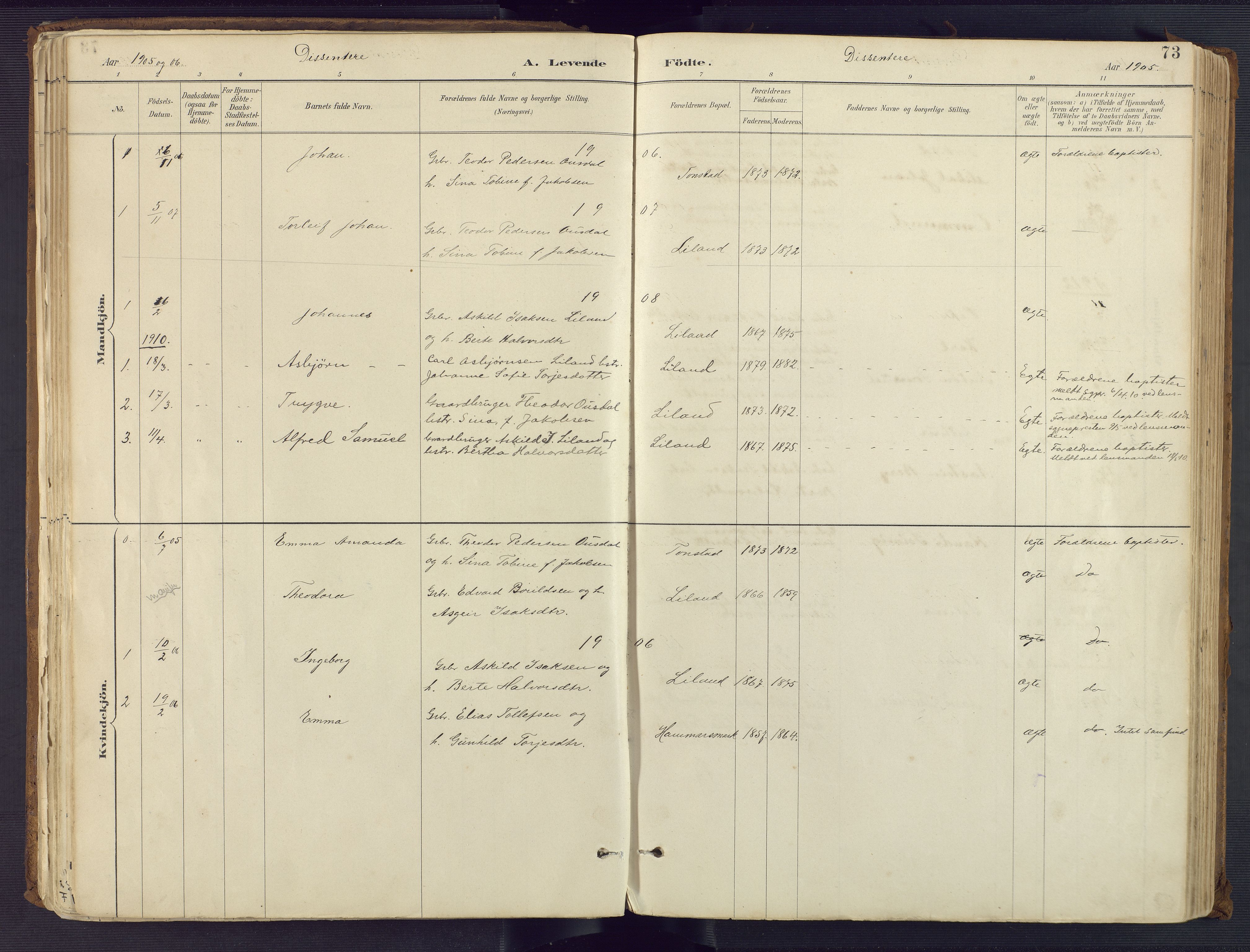 Sirdal sokneprestkontor, SAK/1111-0036/F/Fa/Fab/L0004: Parish register (official) no. A 4, 1887-1919, p. 73