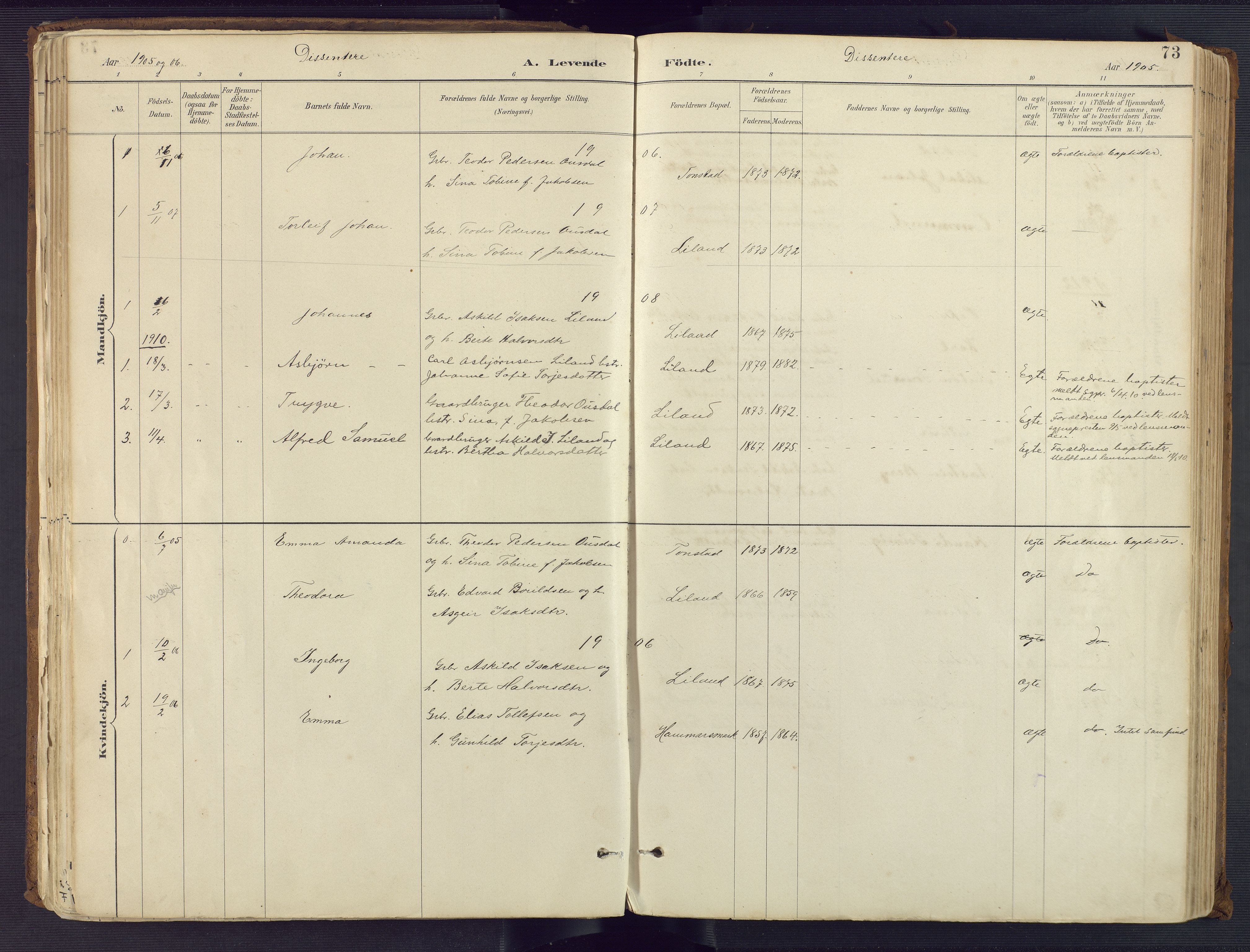 Sirdal sokneprestkontor, AV/SAK-1111-0036/F/Fa/Fab/L0004: Parish register (official) no. A 4, 1887-1919, p. 73
