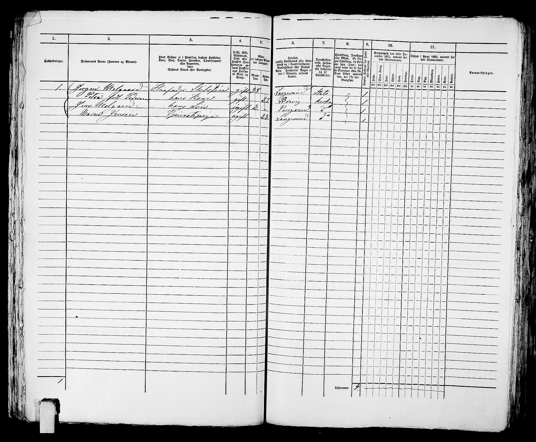 RA, 1865 census for Porsgrunn, 1865, p. 617