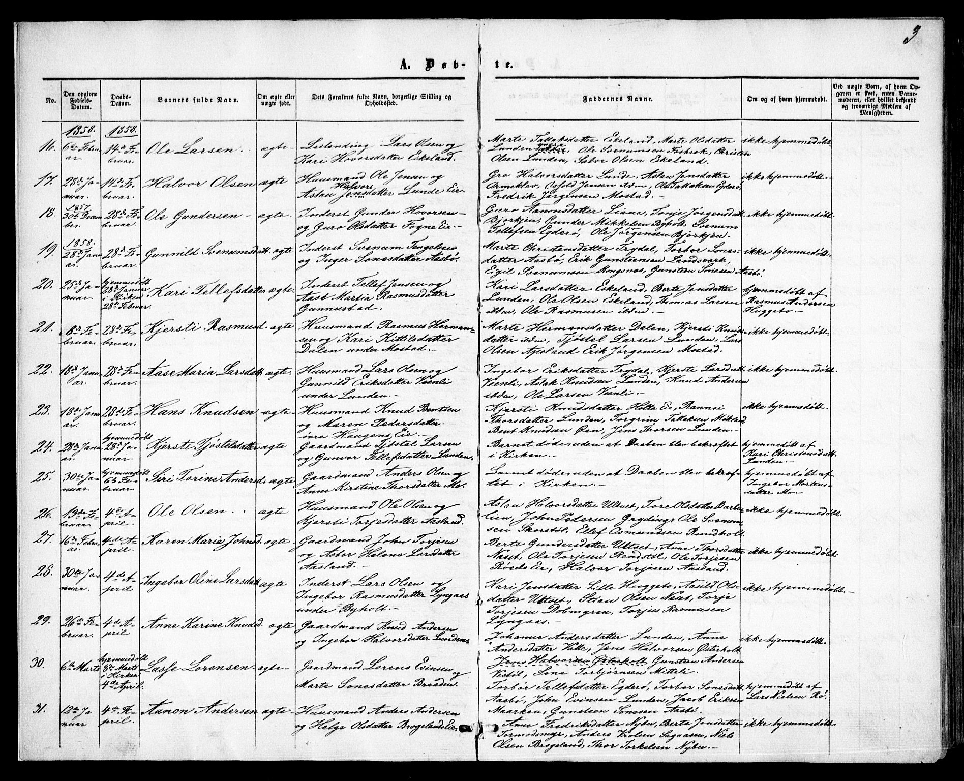 Gjerstad sokneprestkontor, AV/SAK-1111-0014/F/Fa/Faa/L0007: Parish register (official) no. A 7, 1858-1875, p. 3