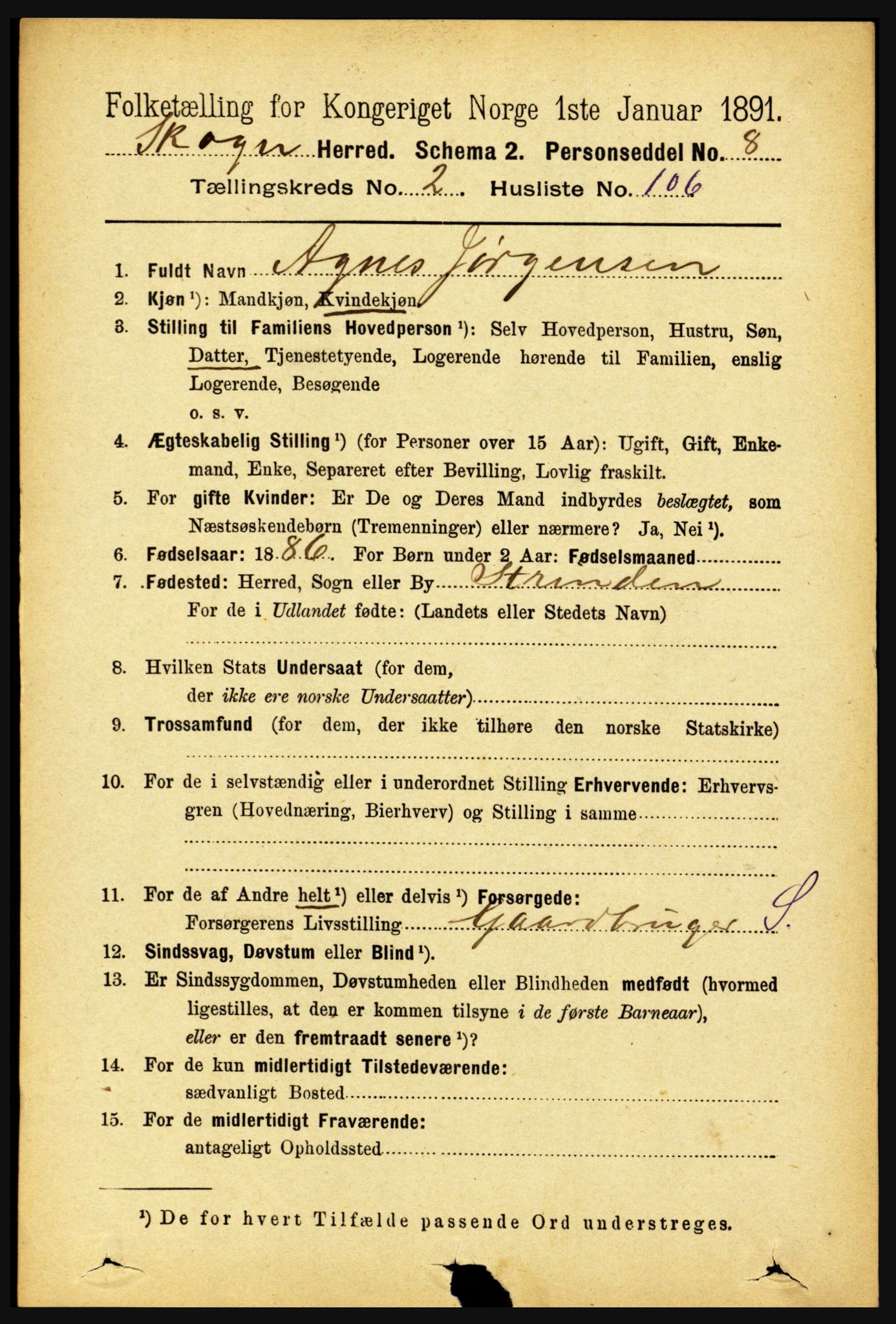 RA, 1891 census for 1719 Skogn, 1891, p. 1532