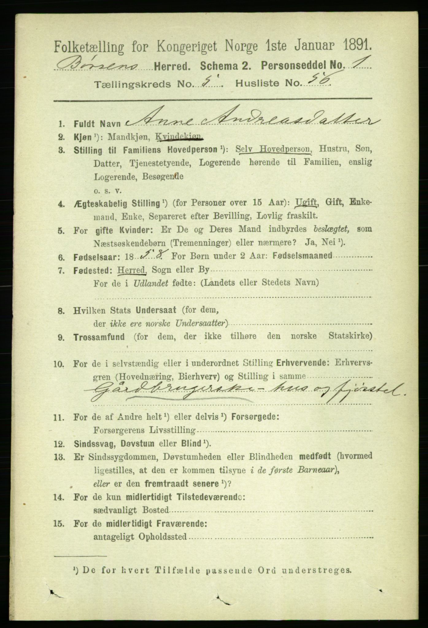 RA, 1891 census for 1658 Børsa, 1891, p. 2305