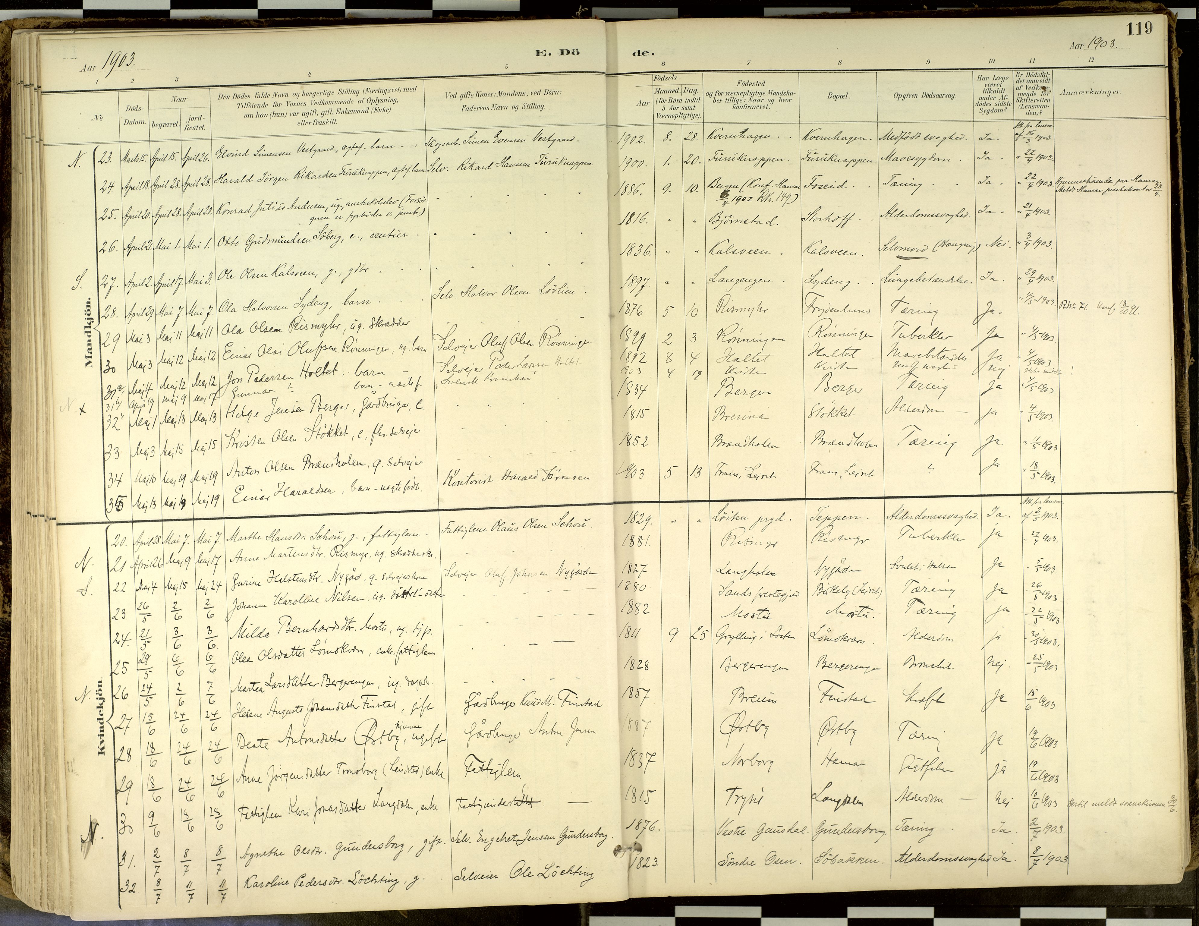 Elverum prestekontor, AV/SAH-PREST-044/H/Ha/Haa/L0018: Parish register (official) no. 18, 1894-1914, p. 119