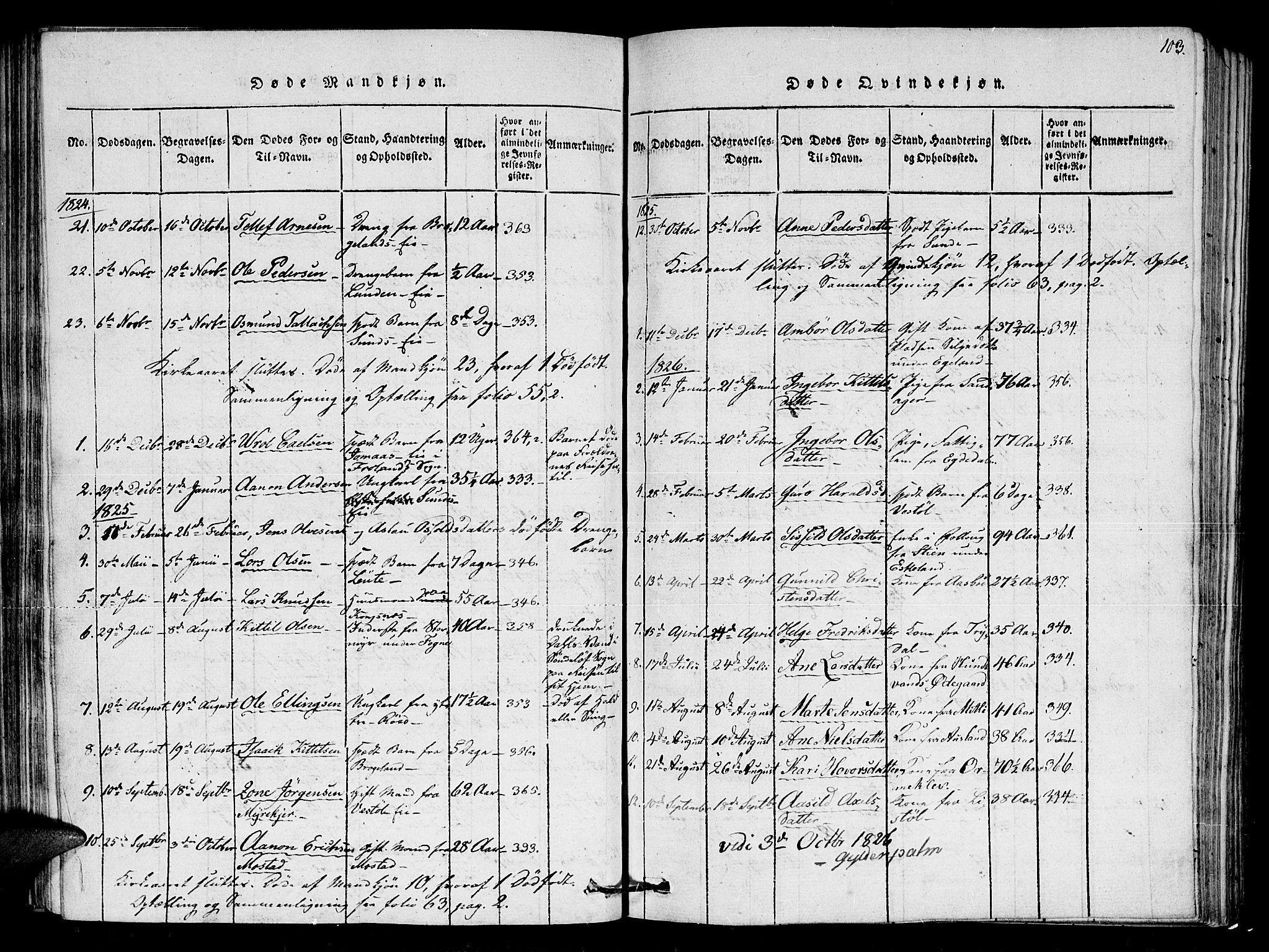 Gjerstad sokneprestkontor, AV/SAK-1111-0014/F/Fa/Faa/L0004: Parish register (official) no. A 4, 1816-1829, p. 103