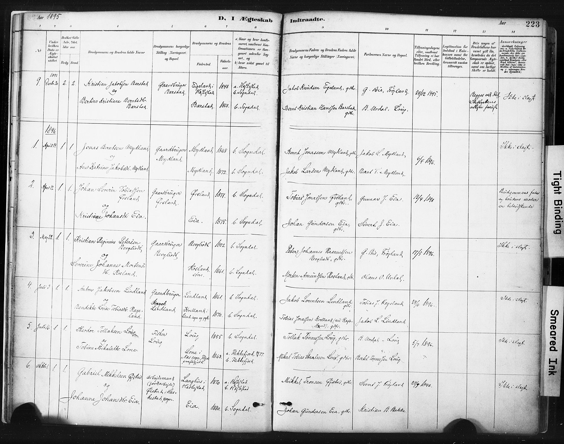 Sokndal sokneprestkontor, SAST/A-101808: Parish register (official) no. A 11.2, 1887-1905, p. 223