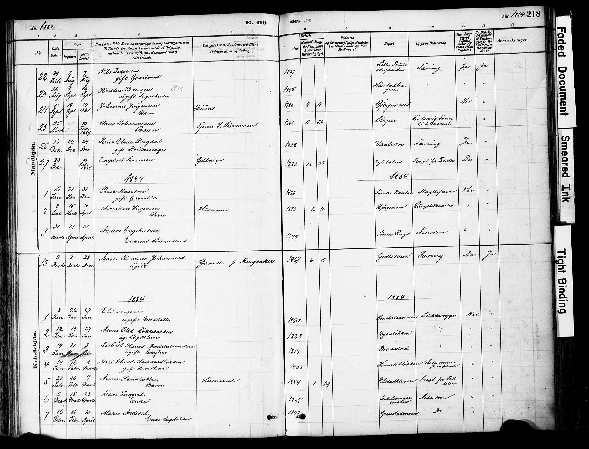 Ringebu prestekontor, SAH/PREST-082/H/Ha/Haa/L0008: Parish register (official) no. 8, 1878-1898, p. 218