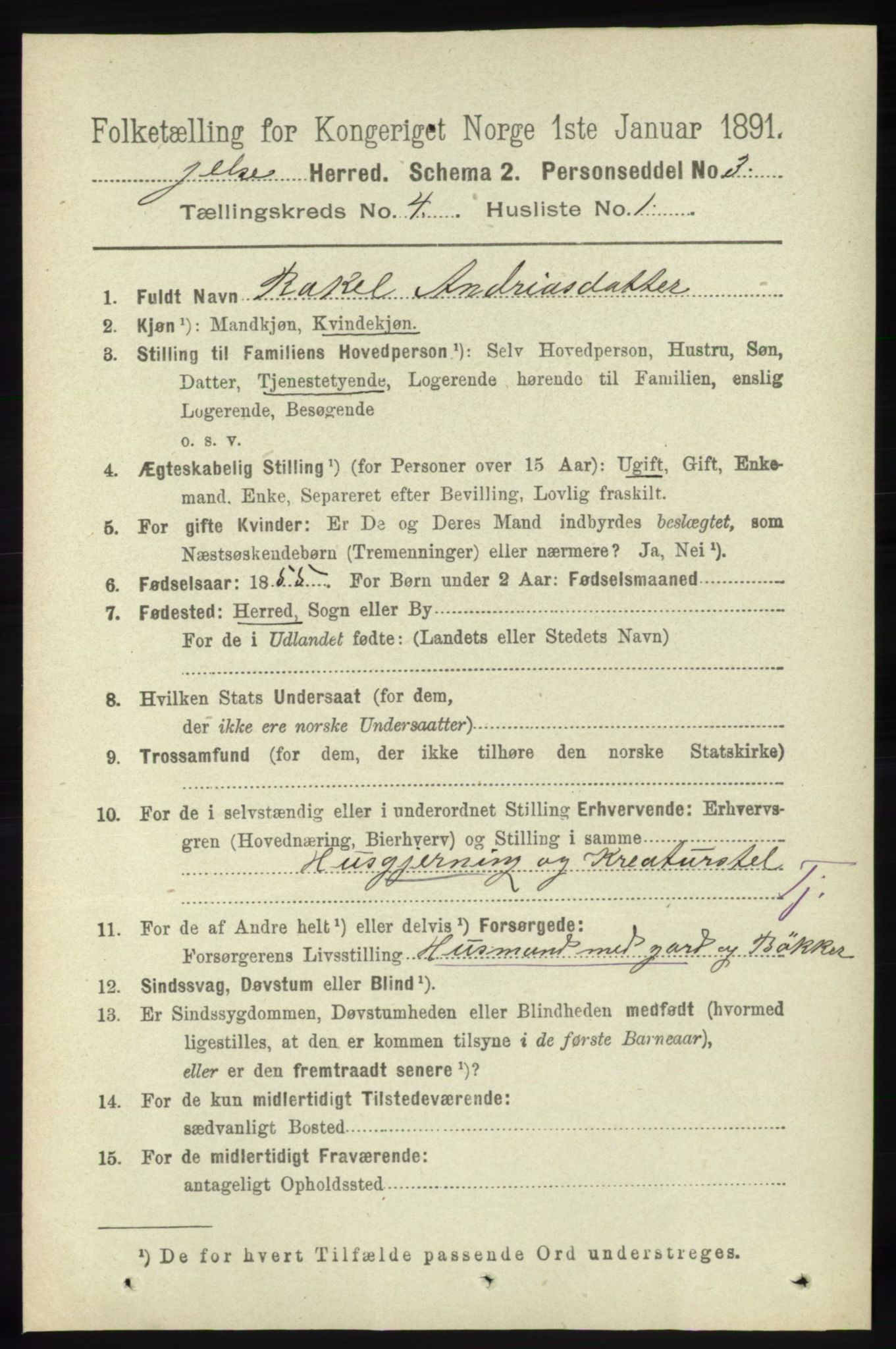 RA, 1891 census for 1138 Jelsa, 1891, p. 709