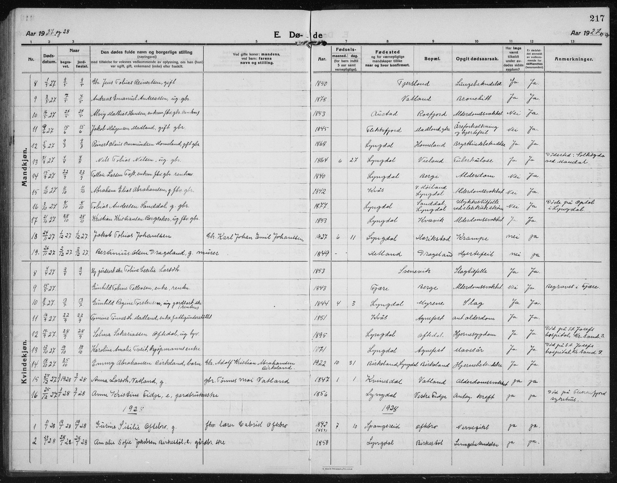 Lyngdal sokneprestkontor, AV/SAK-1111-0029/F/Fb/Fbc/L0006: Parish register (copy) no. B 6, 1914-1934, p. 217