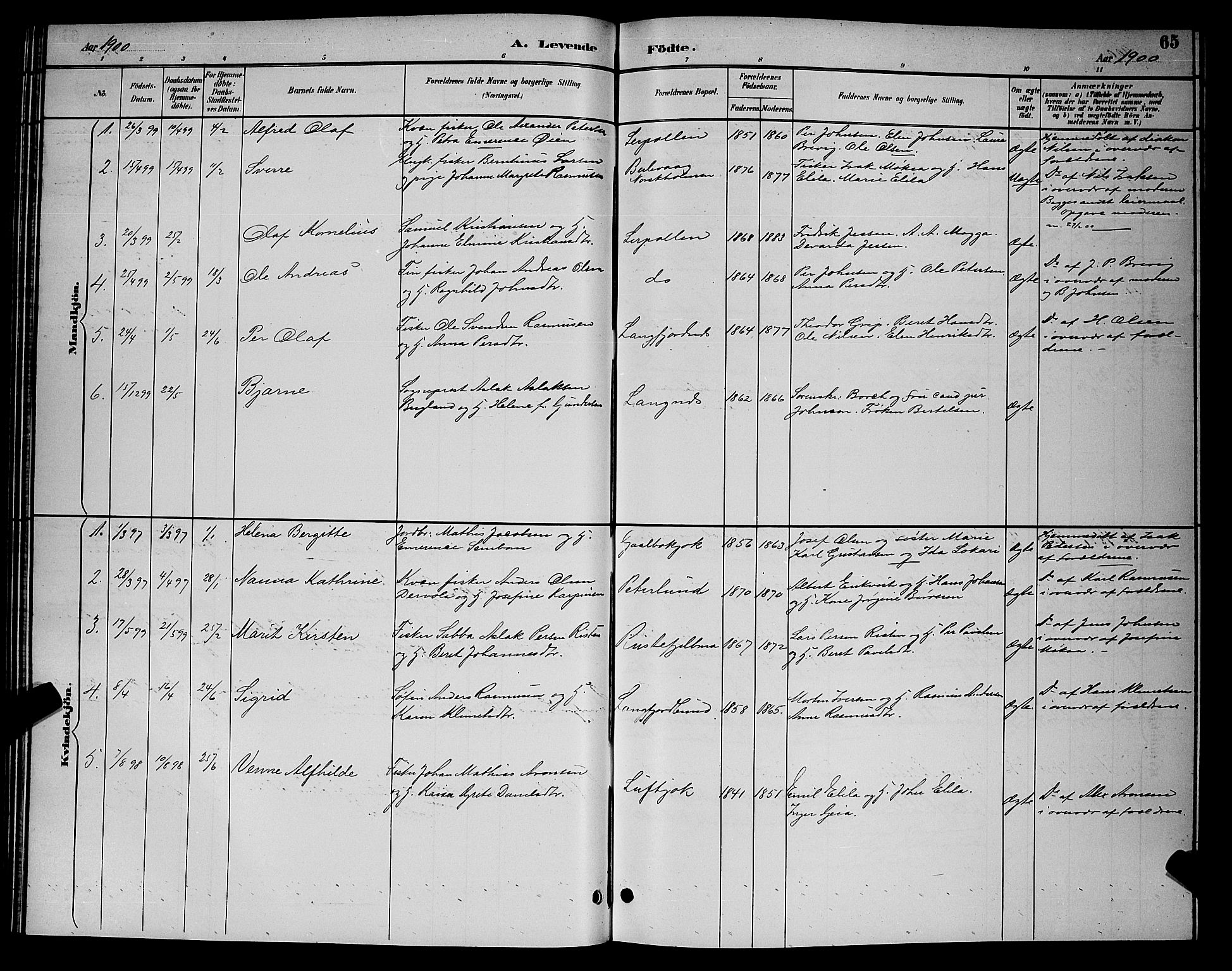 Tana sokneprestkontor, SATØ/S-1334/H/Hb/L0004klokker: Parish register (copy) no. 4, 1890-1903, p. 65