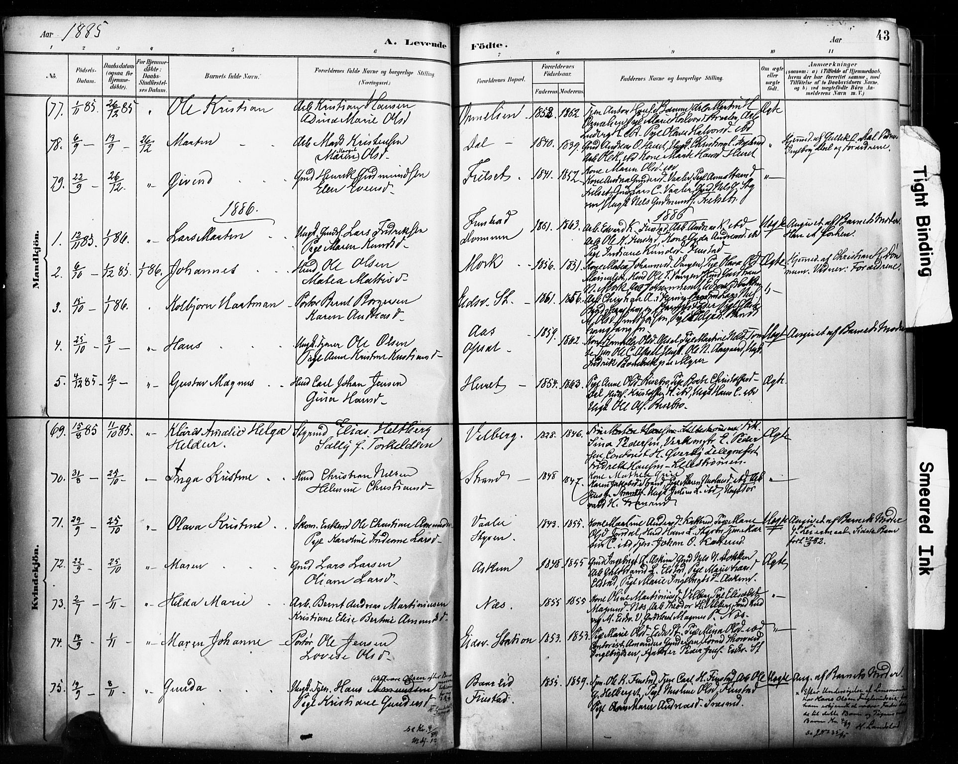 Eidsvoll prestekontor Kirkebøker, SAO/A-10888/F/Fa/L0002: Parish register (official) no. I 2, 1882-1895, p. 43