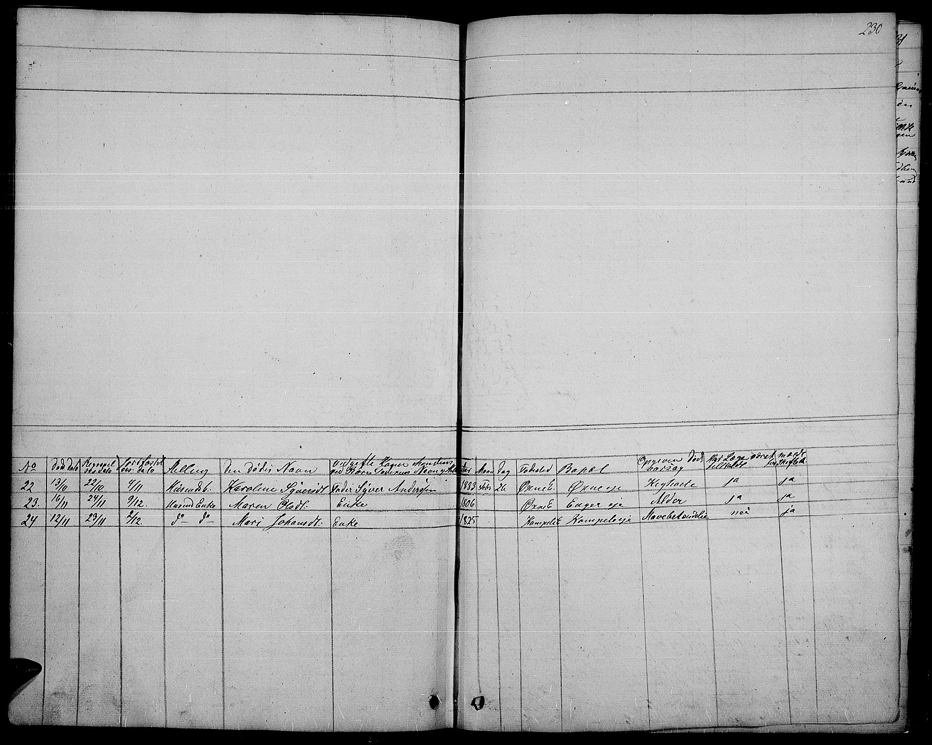 Søndre Land prestekontor, SAH/PREST-122/L/L0001: Parish register (copy) no. 1, 1849-1883, p. 230