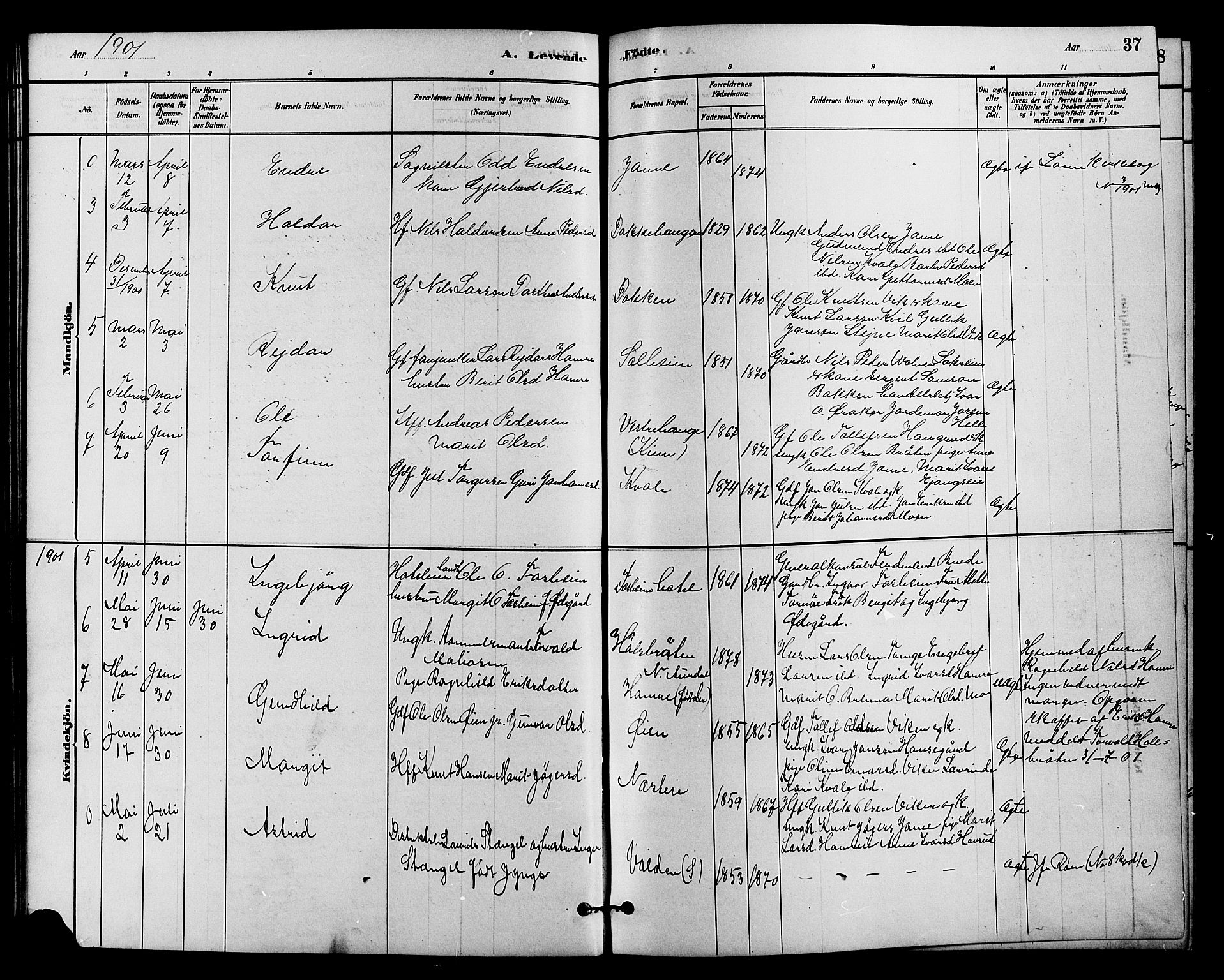 Vestre Slidre prestekontor, SAH/PREST-136/H/Ha/Hab/L0004: Parish register (copy) no. 4, 1881-1912, p. 37