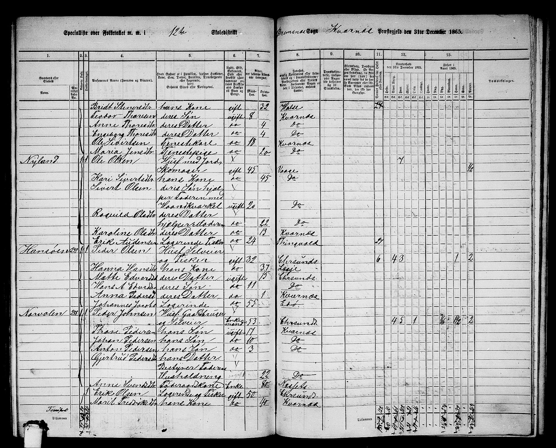 RA, 1865 census for Kvernes, 1865, p. 219