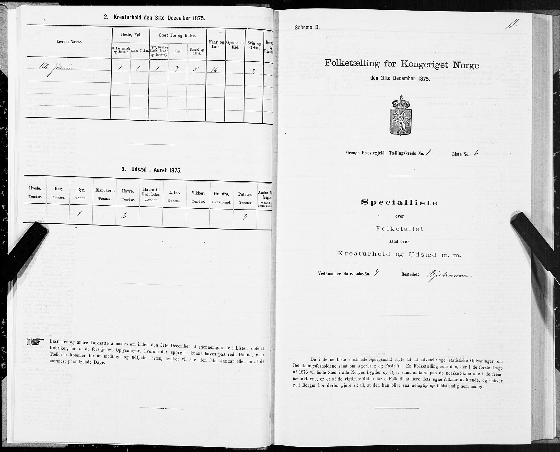 SAT, 1875 census for 1742P Grong, 1875, p. 1011