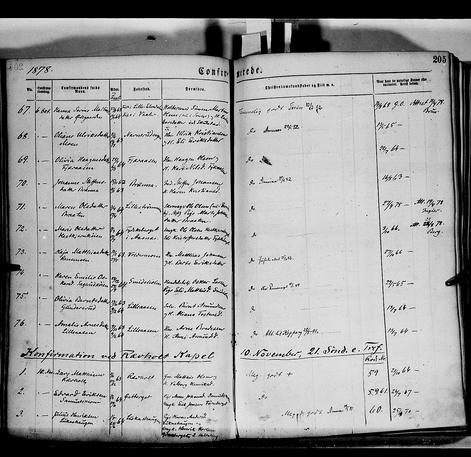 Grue prestekontor, AV/SAH-PREST-036/H/Ha/Haa/L0011: Parish register (official) no. 11, 1873-1880, p. 205